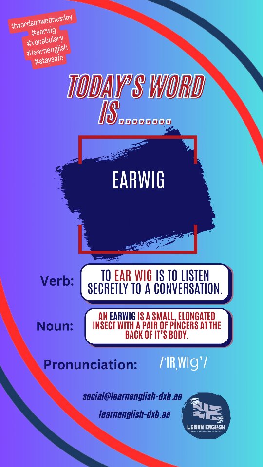 #wordsonwednesday
#earwig
#vocabulary
#learnenglish
#staysafe
