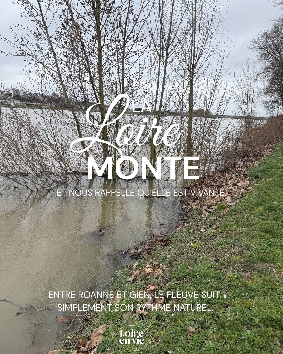 La Loire monte, puis redescend…
comme elle l’a toujours fait.
Après un mois de février exceptionnellement pluvieux (le plus arrosé depuis le début des mesures en 1959), le fleuve a retrouvé toute sa puissance entre Roanne et Gien.
Les crues font partie de l’histoire du territoire. Elles nourrissent les sols, façonnent les îles, entretiennent cette nature sauvage qui rend la destination si unique.
Aujourd’hui, la décrue est en cours. Peu à peu, les chemins réapparaissent, les lumières changent, et la Loire dévoile à nouveau ses rives propices à la marche et au vélo.
Observer la Loire, c’est aussi apprendre à ralentir, à accepter son rythme… et à voyager autrement.
www.loireenvie.fr