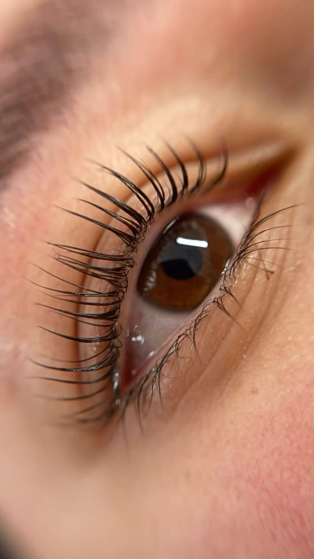 🤩Le rehaussement de cils est la solution idéale pour sublimer le regard tout en restant naturel ✨
Cette technique consiste à courber les cils dès la racine afin d’ouvrir le regard et donner un effet mascara sans maquillage.
✔️ Résultat naturel
✔️ Regard plus intense
✔️ Tenue plusieurs semaines
✔️ Aucun entretien contraignant
Parfait pour celles qui souhaitent un effet élégant, sans extensions et sans surcharge.
Offrez à vos cils une mise en beauté sur mesure 💫
📍 Rendez-vous à l’institut au cœur de Montmartre
📩 Réservation en message privé
#RehaussementDeCils #RegardSublimé #BeautéDuRegard #Montmartre #InstitutDeBeauté