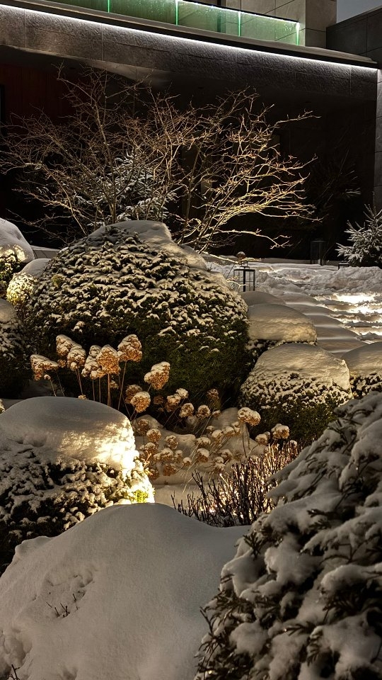 Gaisā jau jūtams pavasaris, un pavisam drīz sāksies jaunā dārzu sezona. 🌿
Mēs aicinām dārzniekus pievienoties GALANTUS komandai, lai šo sezonu pavadītu kopīgā darbā, kopjot skaistākos dārzus. 🤝
Ja jūti saikni ar dārzu un vēlies redzēt sava darba rezultātu — pievienojies mums. 💚