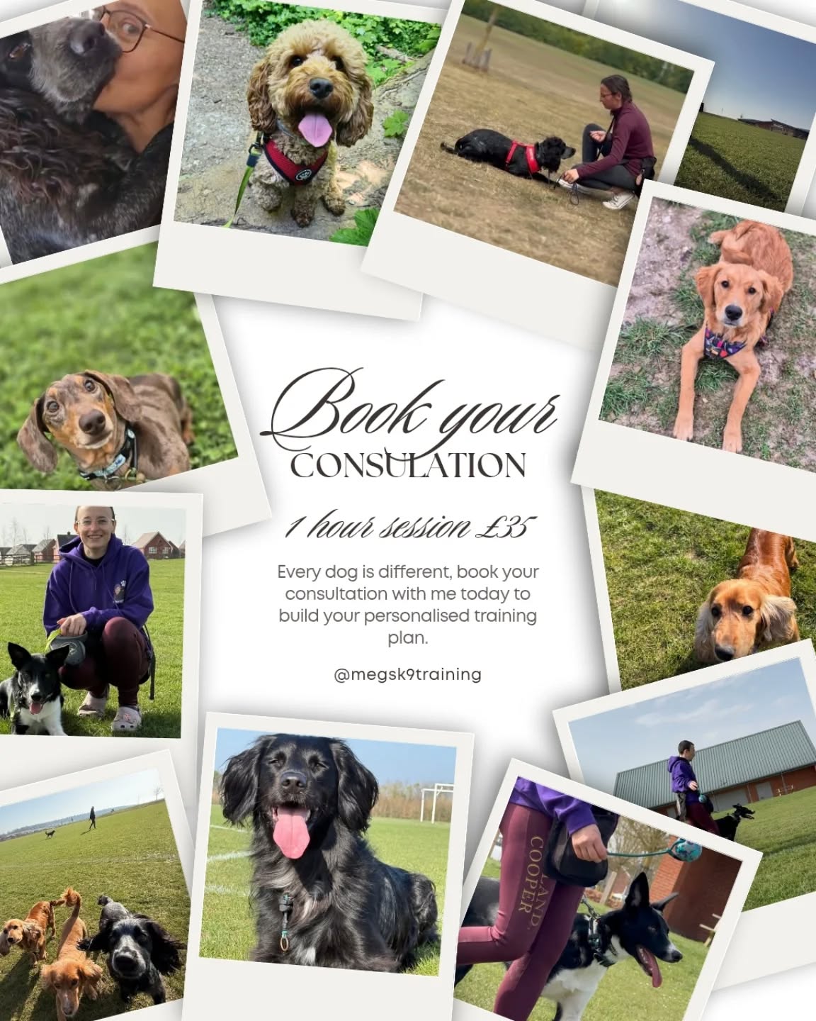 🐾 Struggling with your dog’s behaviour? Let’s work through it together.**
Every dog is different, which is why training shouldn’t be one-size-fits-all. My 1-hour consultation is designed to help you understand your dog better and create a training plan that actually works for both of you.
Whether you’re dealing with pulling on the lead, recall struggles, jumping up, reactivity, or just want to build a stronger bond with your dog — I’m here to help.
During your session we’ll:
💜Talk through your dog’s behaviour and challenges
💜 Identify realistic training goals
💜 Build a personalised step-by-step training plan
No judgement, just supportive guidance to help you and your dog succeed. 💜
⏰ 1 Hour Consultation – £35
📧Comment "consult" or message me to book
#dogtraining #dogtraineruk #dogbehaviour #puppytraining #dogsofinstagram