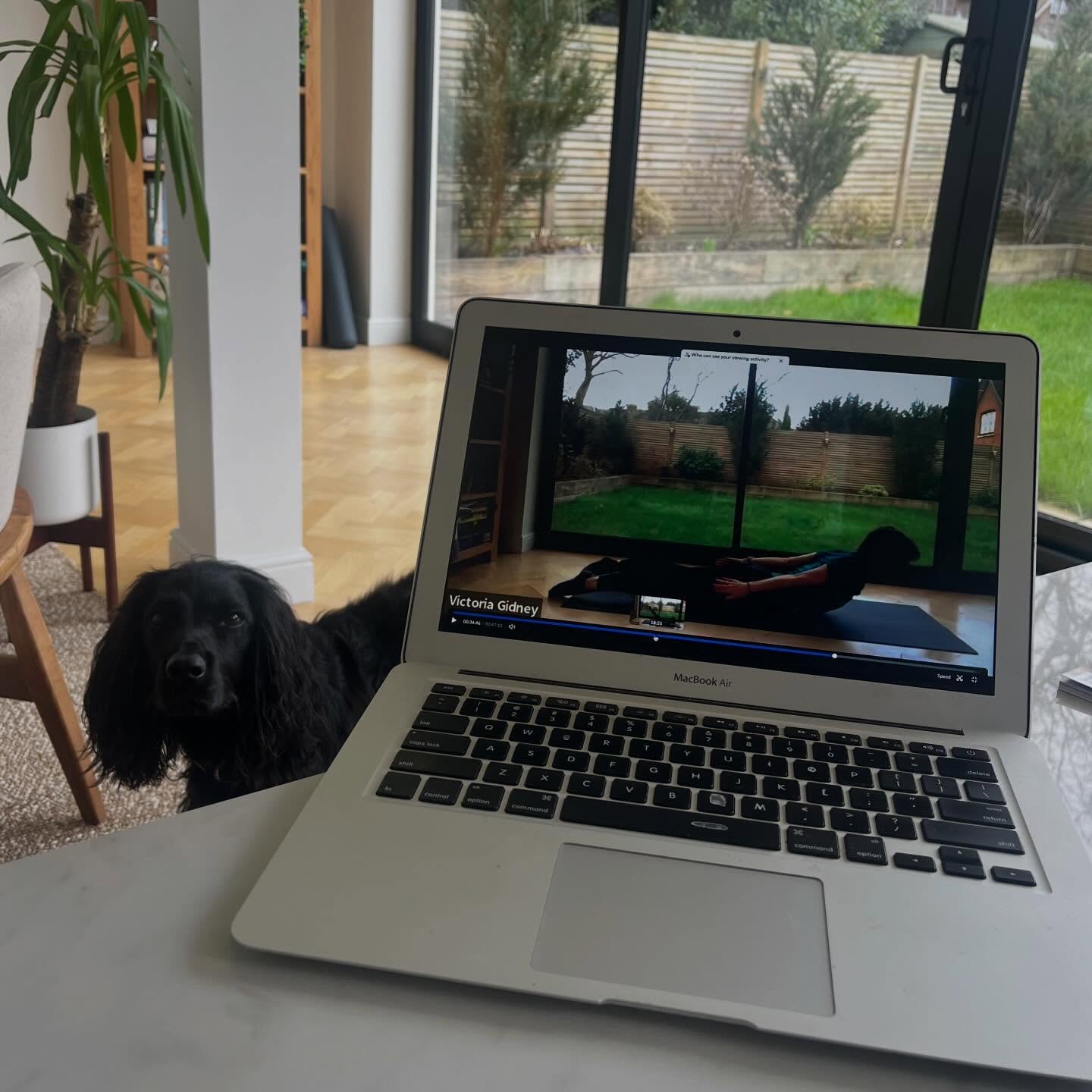 💻 Busy start to the week recording 2 classes for the inspirational @mojosisters_triathlon ladies! 🤩
Lou and I have worked together for a while now after meeting on a @therunningschool course, and it’s always a pleasure preparing live or recorded classes for her athletes to support them with their goals 💪
The brief this time was general mobility and stretching to support maintenance and recovery, then a swimming and strength focused class 🏊
If you’re looking for a motivational, experienced coach and a friendly, supportive community to tackle a triathlon - look this wonderful group up! 🥰
… and if you’re a coach or club looking for some support to keep your athletes injury free, maybe get in touch for a chat 🙌
#pilatesforathletes #mobility #onlinepilates #pilatesforsport