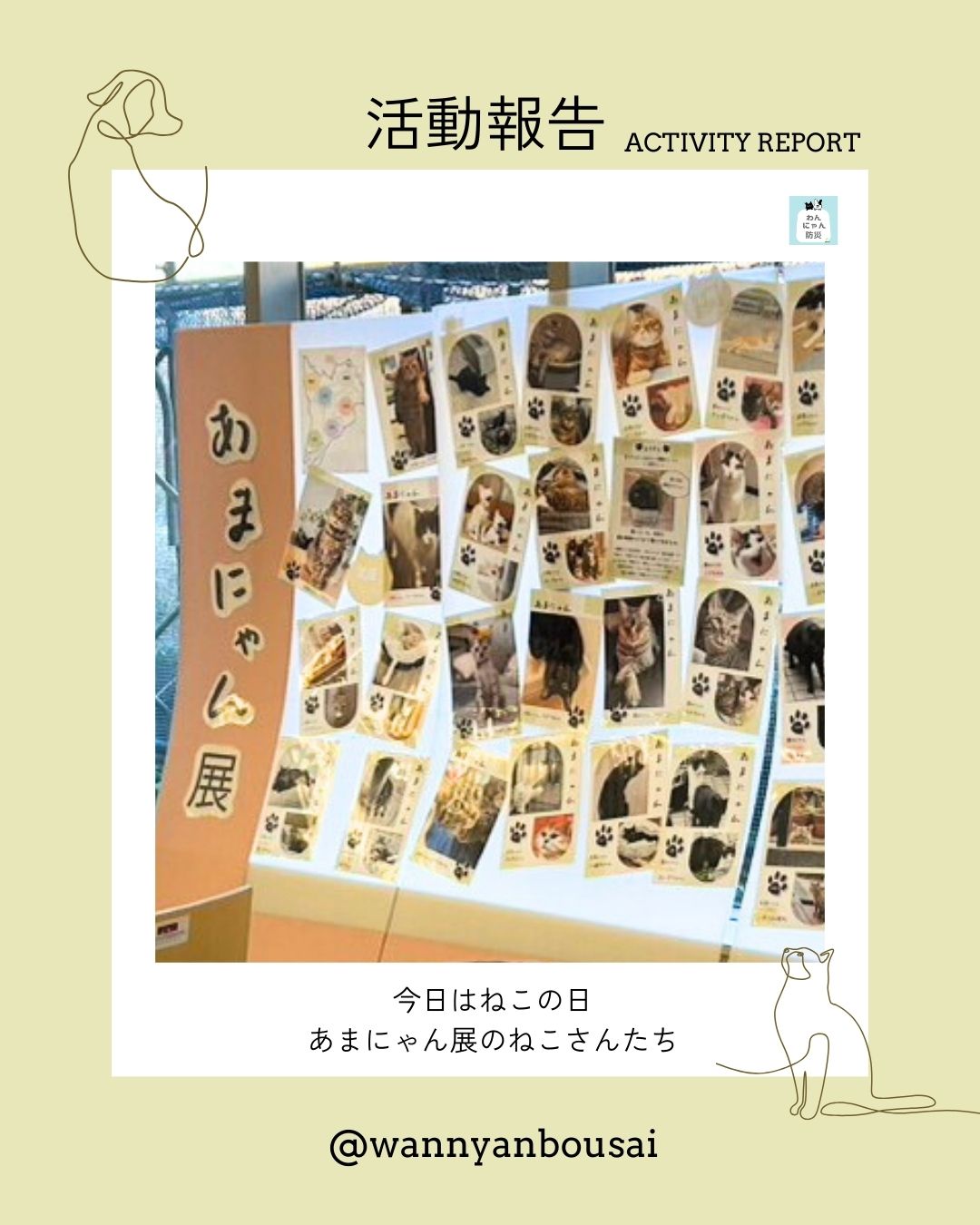 今日は猫の日🐈
あまにゃん展の子たち。
黒も、白も、はちわれも。
みんなそれぞれ表情があって、
ちゃんと個性がある。
「地域猫」とひとことで言っても、
ひとりひとり、ちがう命。
見分けることは、
ちゃんと見ること。
それは
家族として暮らす猫も、
地域で生きる猫も同じ。
今日は猫の日。
あまにゃんも、大切な命🐾
#猫の日
#あまにゃん
#わんにゃん防災
#地域猫
#ペット防災