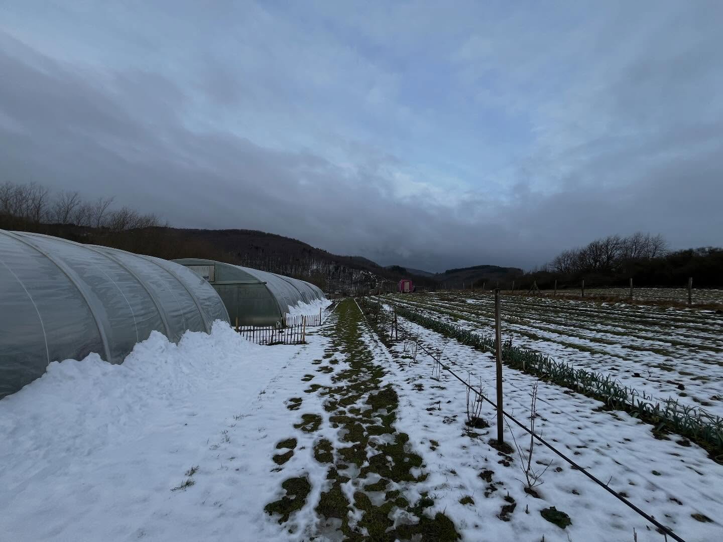 Und so sieht’s heute aus! #tauwetter #taunus #marktgarten #bioland