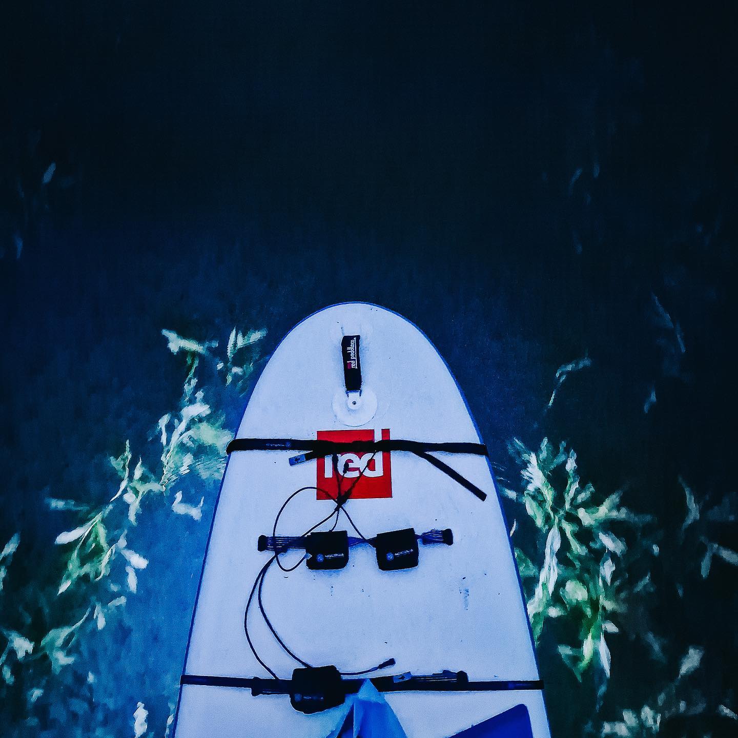 Šią savaitę susitinkame naktiniuose turuose:
22d VILNIUJE
23d MOLĖTUOSE
24d TRAKUOSE