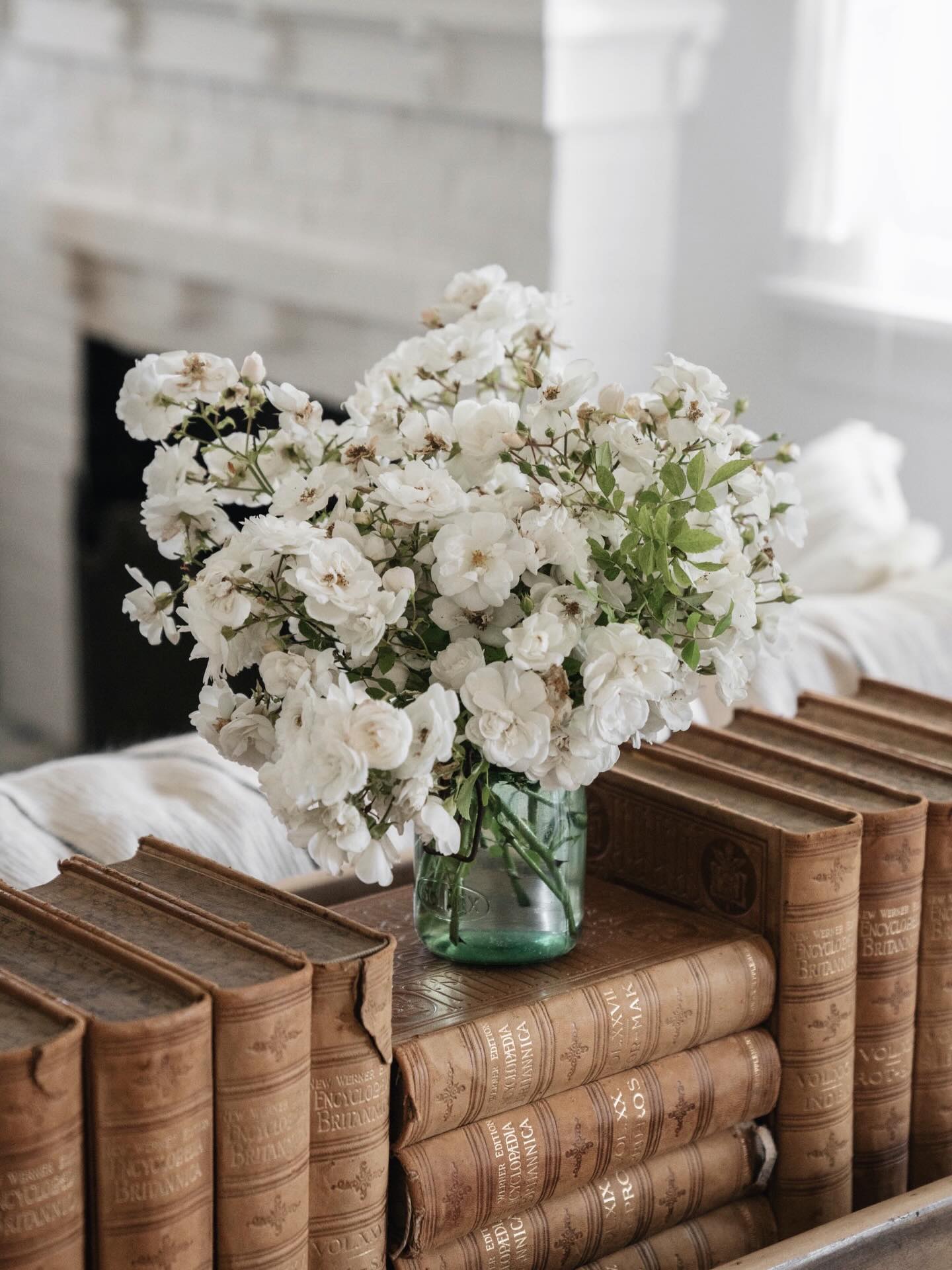 Happy March 🍀🌱💚
Turning a new leaf, at the start of a new month. Repairing and preparing the greenhouse and gathering seeds and tubers for the long awaited season ahead.
Each new month offers a fresh start in ways. This winter has felt a lot like the chrysalis phase, holding space for the promise of beauty, while waiting amidst the process unfolding. 🦋
Learning presence through each phase.
Here’s to the month that will usher in the emerge of Spring. 🌿