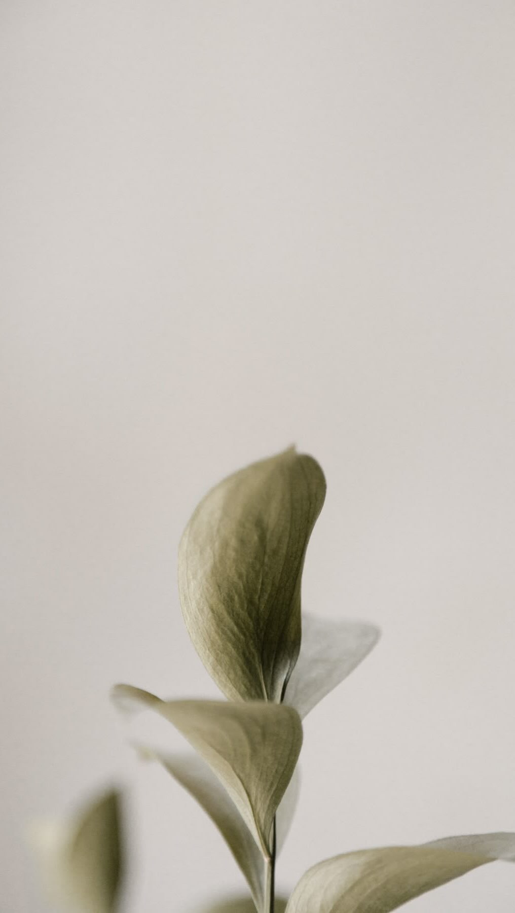 The slower you go in pilates, the more strength you actually develop. ✨