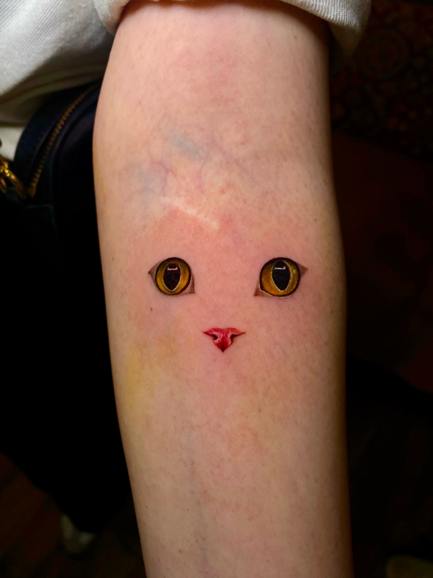 Theo.
Done by @jamesy_boy_007
•
#thetattooshopnewdelhi #cattattoo #cat