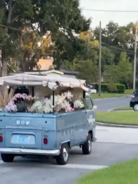 WE HAVE A FLOWER TRUCK PULLING UP 🚐💐
This Saturday 10–2 🌼
Come get your hair done & grab the cutest bouquet from @dahliasflowertruck right out front ✨
1 Westgate Plaza | Clermont 💛
Make it a whole moment😊