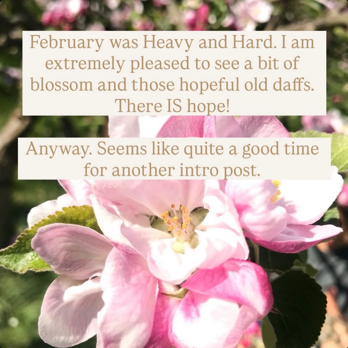 Oh hello! Thanks for dropping by my little shop window (this is the healthiest way I’ve found to think about social media ….)
#havingababy
#hypnobirthing
#birthplanning
#homebirth
#doula