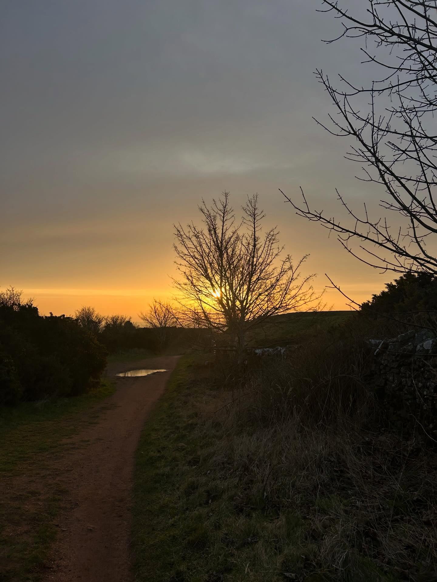 No filters needed for nature #forestbathing #forestbathing🌲🌲🌲 #forestbathingedinburgh #forestbathingscotland