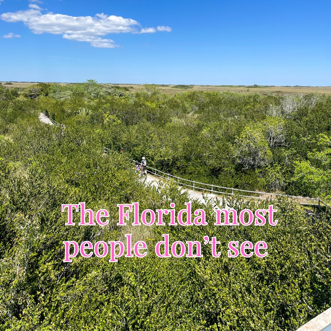Eu não imaginava que Shark Valley fosse me marcar assim.
Quando a gente pensa no Everglades, parece só um lugar plano, quente… talvez alguns jacarés por aí.
Nós escolhemos fazer o passeio de tram em vez de pedalar os 24km — e foi a melhor decisão para aquele dia.
Sem pressa, ouvindo o guia explicar cada detalhe, o que parecia vazio começou a ganhar vida.
Um jacaré quase invisível na vegetação.
Pássaros imóveis como se fossem parte da paisagem.
A água que parece parada… mas nunca está.
De longe, o Everglades parece silencioso demais.
Mas lá dentro você percebe: é antigo. É vivo. É intocado.
Não é uma beleza luxuosa.
É natureza crua.
E ver as crianças prestando atenção, tentando enxergar movimento na água, fez tudo ficar ainda mais especial.
Shark Valley não é sobre adrenalina.
É sobre desacelerar o suficiente para realmente enxergar.
Você faria de bicicleta… ou de tram?
🇺🇸 🇺🇸 🇺🇸
I didn’t expect Shark Valley to stay with me like this.
When you think of the Everglades, it sounds simple — flat land, heat, maybe a few alligators.
We chose the tram instead of biking the full 15-mile loop — and for that day, it was the right choice.
Sitting there, listening to the guide, what first looked empty slowly came alive.
An alligator nearly invisible in the grass.
Birds standing so still they blended into the landscape.
Water that looks calm… but never really is.
From a distance, the Everglades feels quiet.
But once you’re inside it, you realize it’s ancient. Alive. Untouched.
It’s not a flashy kind of beauty.
It’s raw.
And watching the kids pay attention, scanning the water for movement, made it even more meaningful.
Shark Valley isn’t about adrenaline.
It’s about slowing down enough to truly see.
Would you bike it… or take the tram?
#sharkvalley #florida