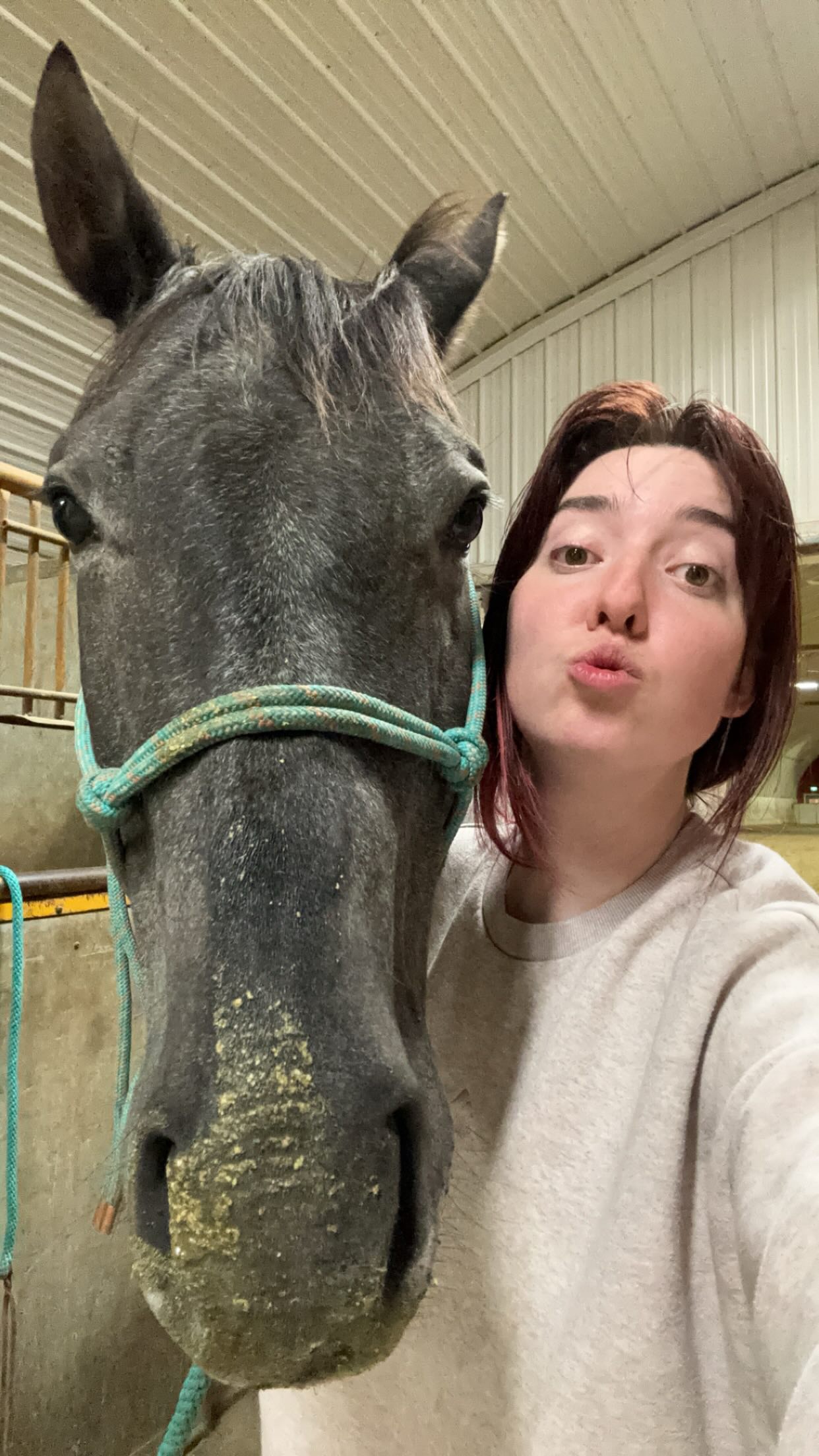 To start Rumour is probably the MESSIEST eater I have ever met.
•
However, I truly think this is probably how he felt when I showed up in his life! So grateful to have a patient and kind buddy who travels (most of the time) with me and helps me educate others
#equine #funny #demo #horse #stableinstincts