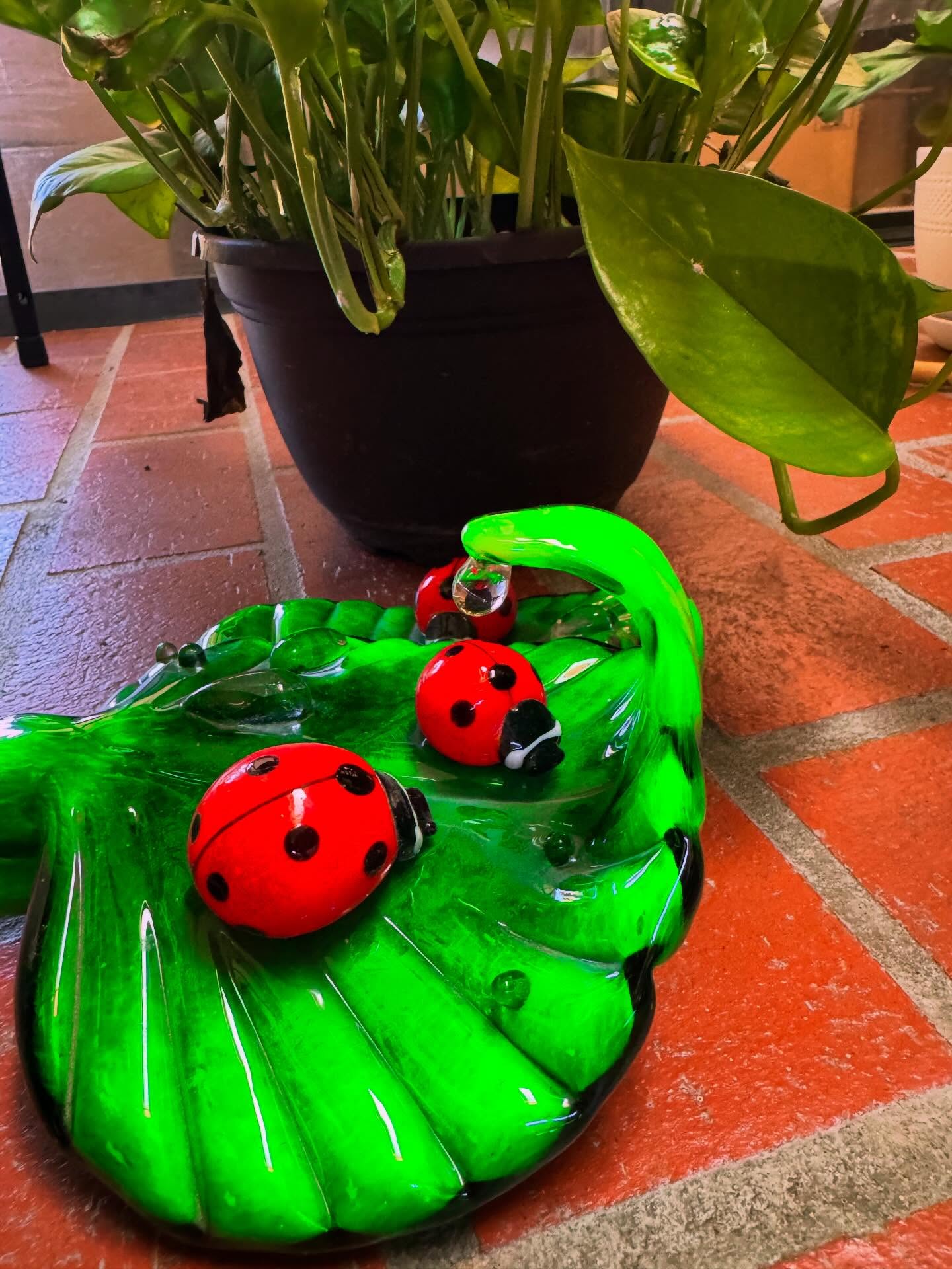 Ladybug season, forever in glass