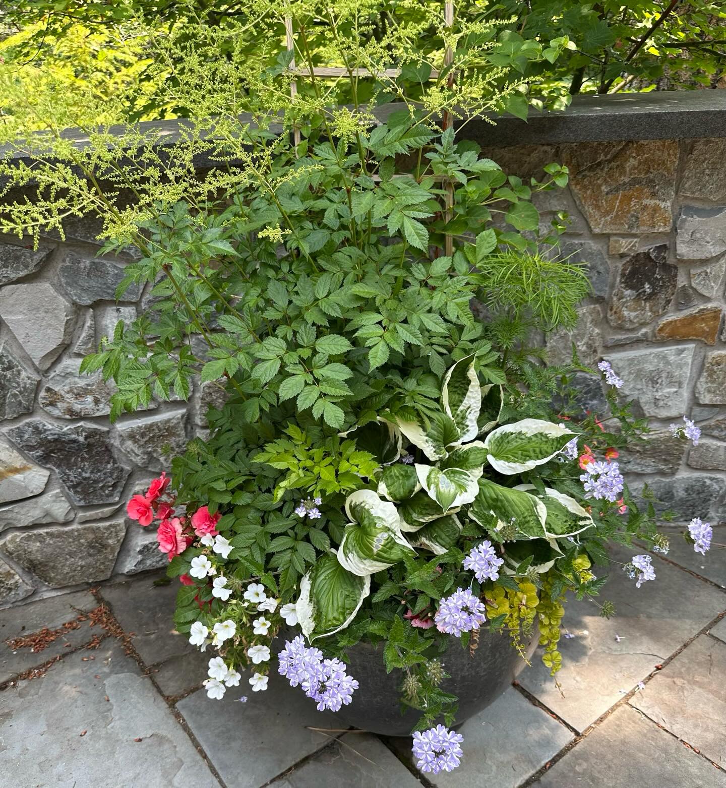 spring? That you? Pretty Porch is PUMPED to get our pretty fingers dirty and make your spaces come alive. Contact us to enroll for 2026 services.