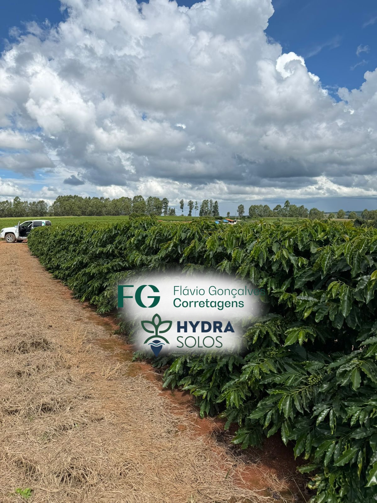 Dia de registrar a visita técnica na região de Pântano de Santa Cruz, distrito de Coromandel - para acompanhar a nova safra! Para isto, contamos com a colaboração dos parceiros da @hydrasolos - especialistas em soluções para o agronegócio.