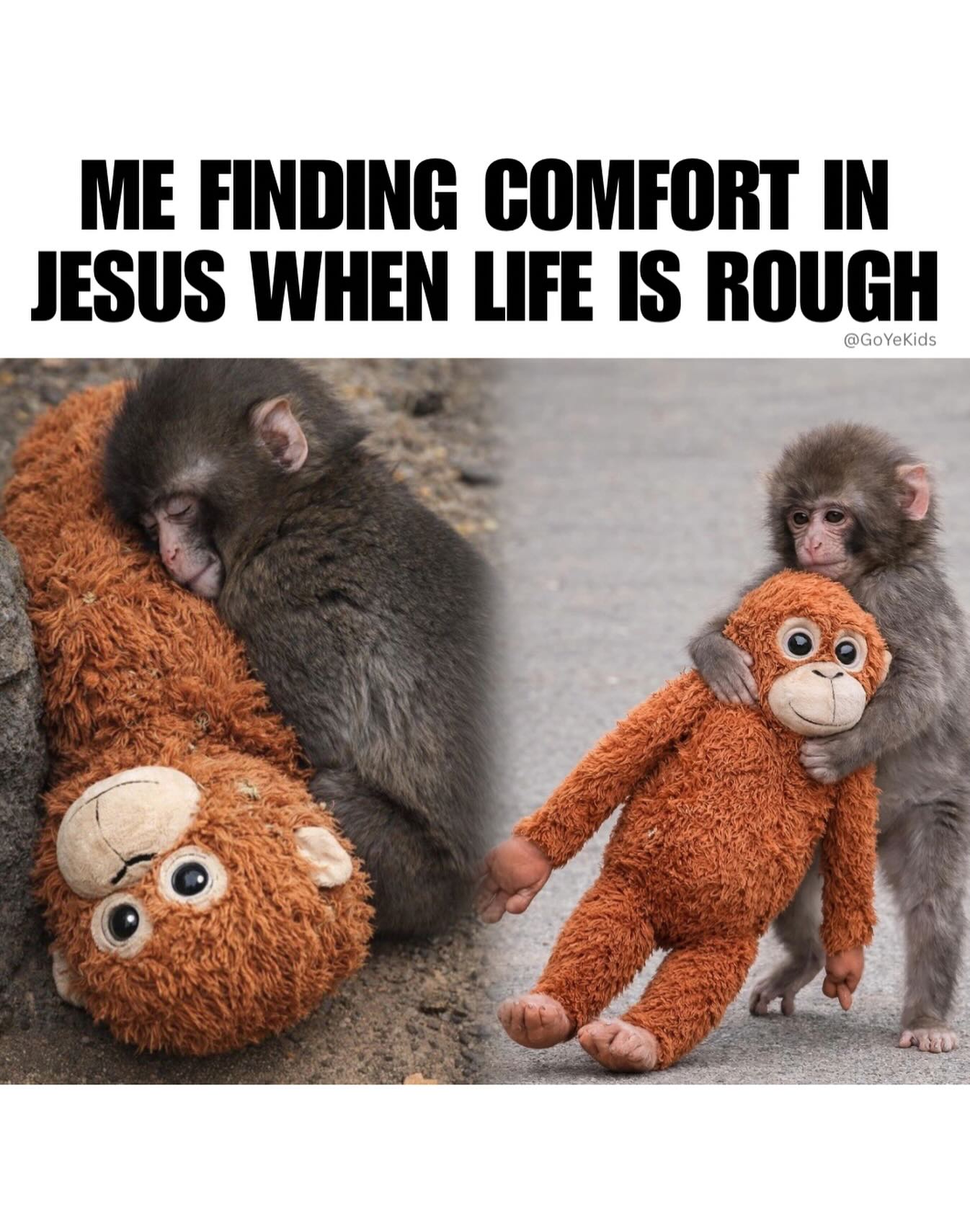If you’ve ever felt like Punch the Monkey, just remember that Jesus loves you and you are not alone!