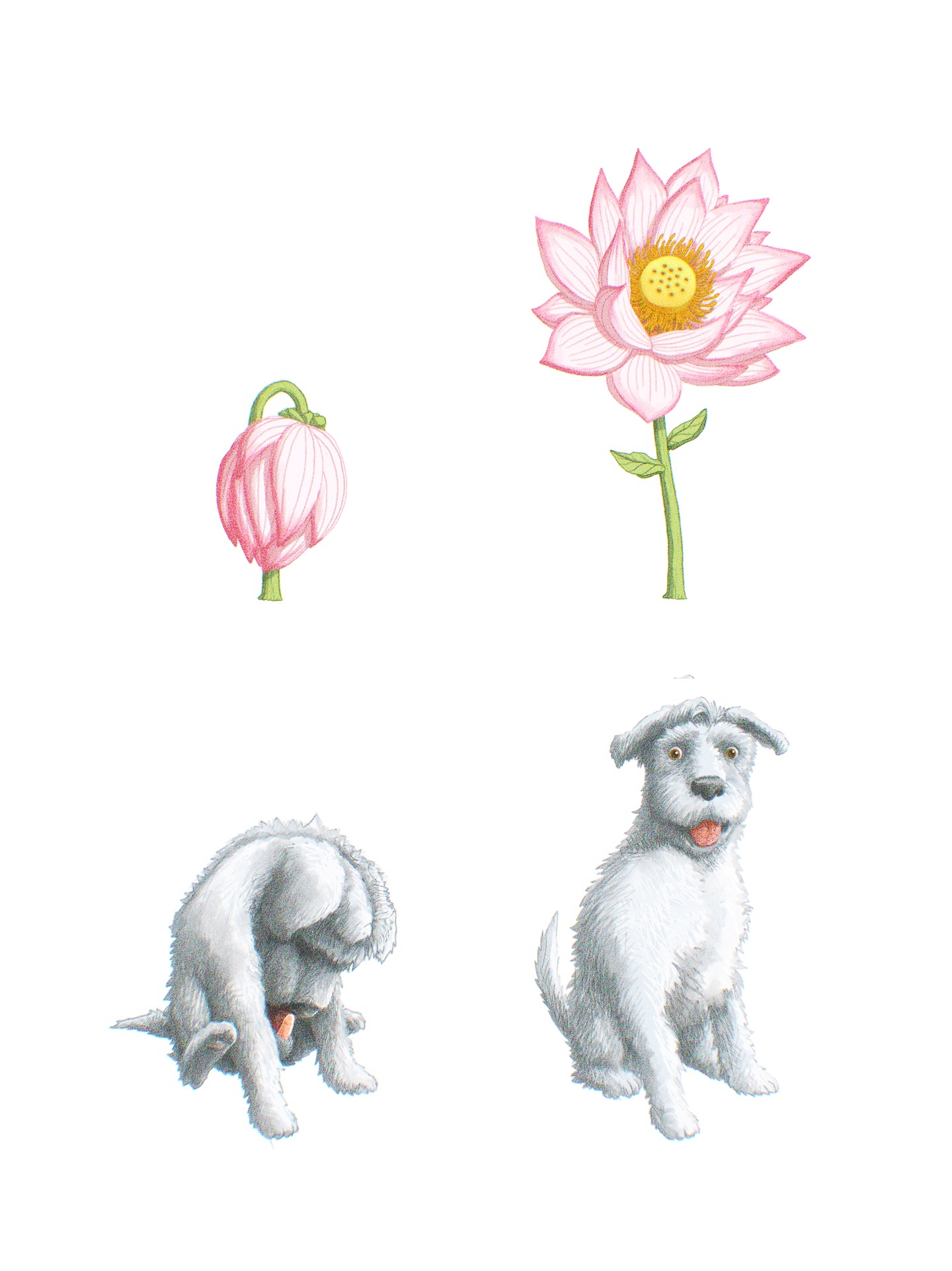 "Flower Fuzz"
A quick sketch made to remind you of how beauty can be found anywhere when you're curious, patient, and paying attention.
Please remember to enjoy the little things. Happy Monday.