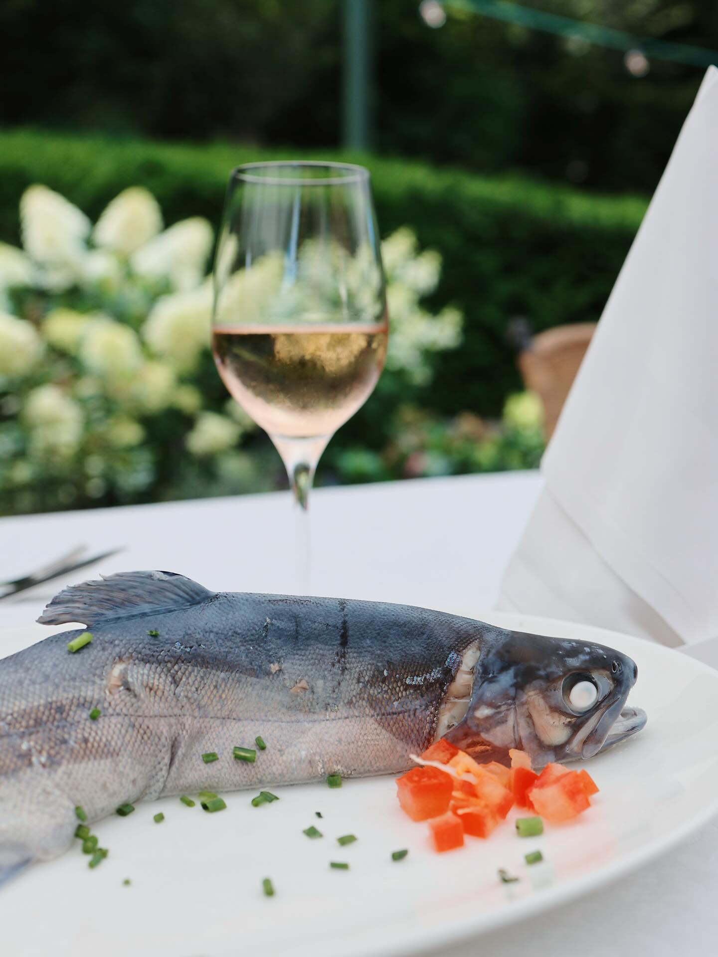 Wo der Schwarzwald auf den Teller kommt. 🌲
Unsere Forelle wächst dort auf, wo Stille zur Qualität wird – in den reinen Quellwassern unserer hauseigenen Fischzucht, umgeben von alten Tannen und unberührter Natur. 🏔️
Forelle Blau. Kein Import. Keine Kompromisse. 🐟
Behutsam zubereitet, mit tiefem Respekt vor dem Ursprung. 🙏✨
Das ist kein Gericht – das ist unser Zuhause auf dem Teller. 🫶
◇ Aus eigener Fischzucht
◇ Mitten im Schwarzwald
◇ Mit Liebe zum Handwerk
✦ Tischreservierung: Link in der Bio
#ForelleBlau #Schwarzwald #HauseigeneFischzucht #BlackForest #FineDining Ursprung Schwarzwaldküche
