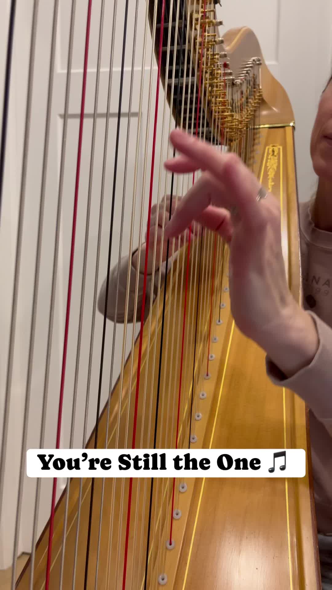 “You’re Still the One” 💕
A little Shania Twain on the harp.
#harp #harpcover #shanaitwain #yourestilltheone #harpist #romanticmusic #harpmusic #columbusharpist #ohioweddings
