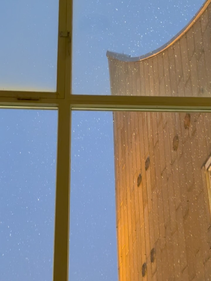Der Februar war hart.
Viel Arbeit, viel Lernen, viel Aushalten.
Konferenz organisiert.
Zwischen Berlin Philharmonie, Fotomuseum Winterthur und Workshops fürs DFF hin und her.
Dann krank geworden.
Nicht hinterher gekommen.
Zu viel gedacht, zu wenig geantwortet.
Und trotzdem:
so viele neue Erfahrungen, so viele gute Begegnungen.
Wenn ich jetzt auf die Bilder schaue,
bin ich vor allem eins: dankbar.
Für all die Menschen, die das möglich gemacht haben. 🤍