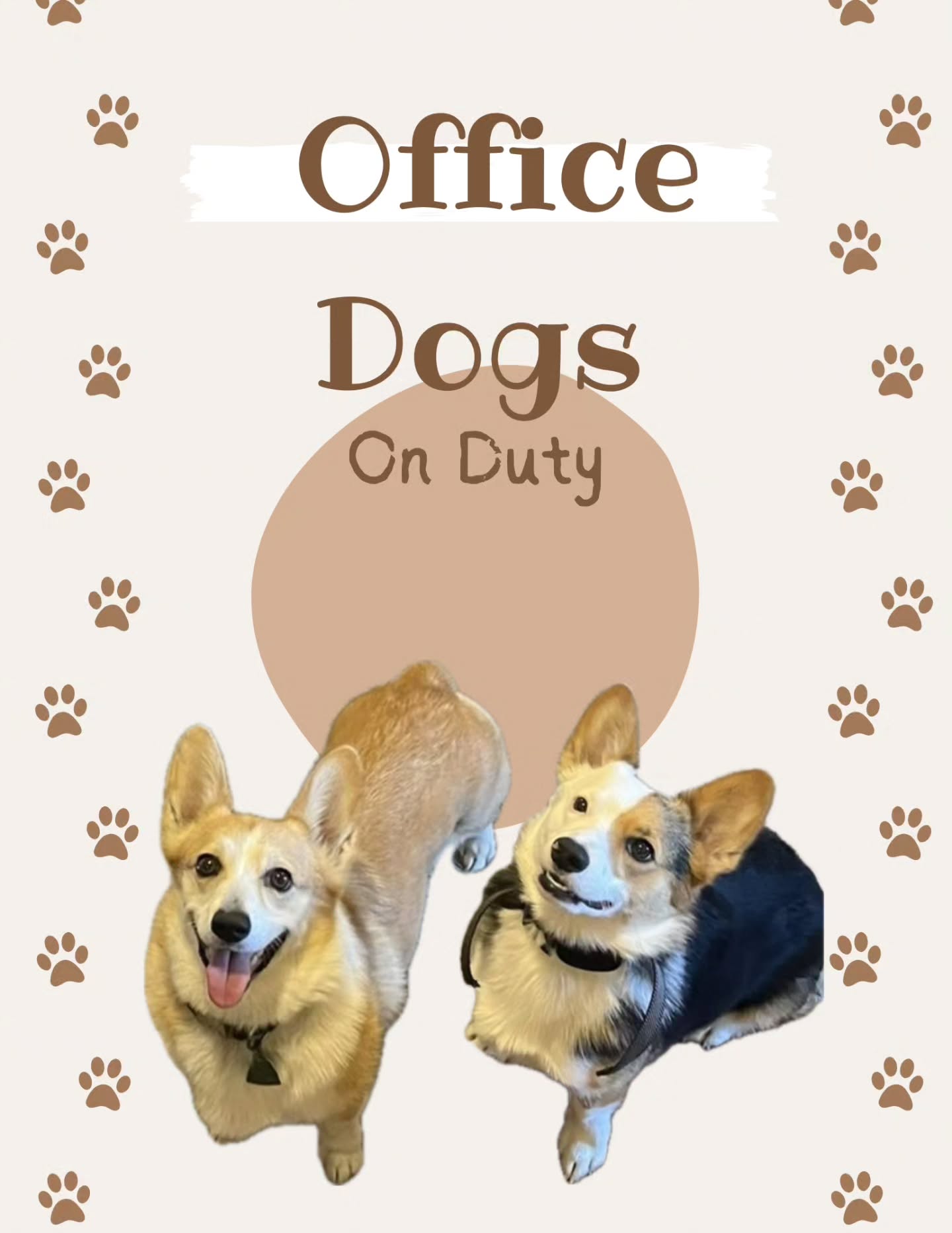🐕 The Chiro-Corgis will be in the office WEDNESDAY!
Zora & Fen will be providing free cuddles with every appointment.
Link in bio to book!
🌱