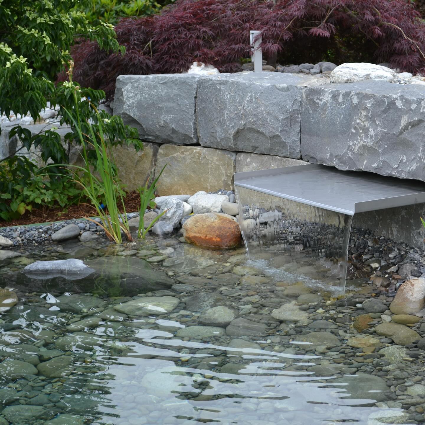 🌿 Wasser trifft Naturstein 💧
Ein Garten lebt von seinen Elementen und nichts bringt so viel Ruhe und Natürlichkeit wie fliessendes Wasser.
Auf diesem Projekt durften wir einen harmonischen Wasserauslauf aus Edelstahl in eine massive Guber-Natursteinmauer integrieren. Das sanfte Plätschern, kombiniert mit sorgfältig ausgewählten Steinen und Pflanzen, schafft einen Ort zum Innehalten und Geniessen.
✨ Natürlich.
✨ Zeitlos.
✨ Individuell geplant.
Wir gestalten Gärten, die nicht nur schön aussehen, sondern sich auch gut anfühlen.
@guber_naturstein
#Tollegärten #Wasserelement #Naturstein #Gartengestaltung #Gartenbau #WasserImGarten #Garteninspiration #SchweizerGarten