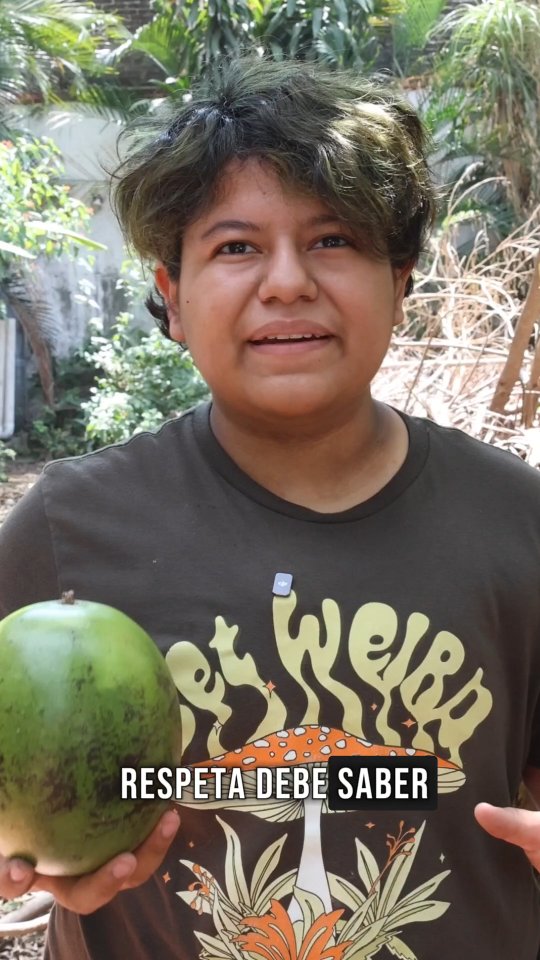 Aprendamos a sembrar huacales 🌳
#biodiversidad #arbolesnativos #tapachulachiapas #huacaleros