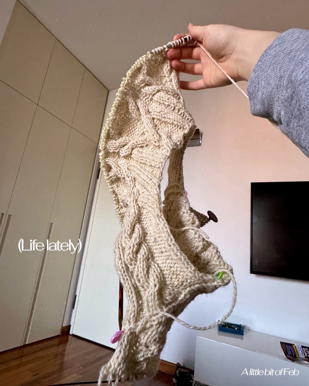 Just a few not-necessarily-asthetic photos of my camera reel from life lately! 🙃 Well actually from the first half of February...
I’ve been doing plenty of knitting lately even though it doesn’t seem like it from the photos because I’m following my 2026 knit intention of the less-is-more approach and more intentional/thoughtful knitting, so trying to avoid the cast on urge which leaves me stuck with way too many WIPs and knitting when I feel inspired to do so! 🥰
🌿 I’m so glad the days are starting to get longer finally, AND we have more sunny days. I feel like a plant that can finally photosynthesize for more energy!! 🌞
#knitlife #cableknitting #slowknitting