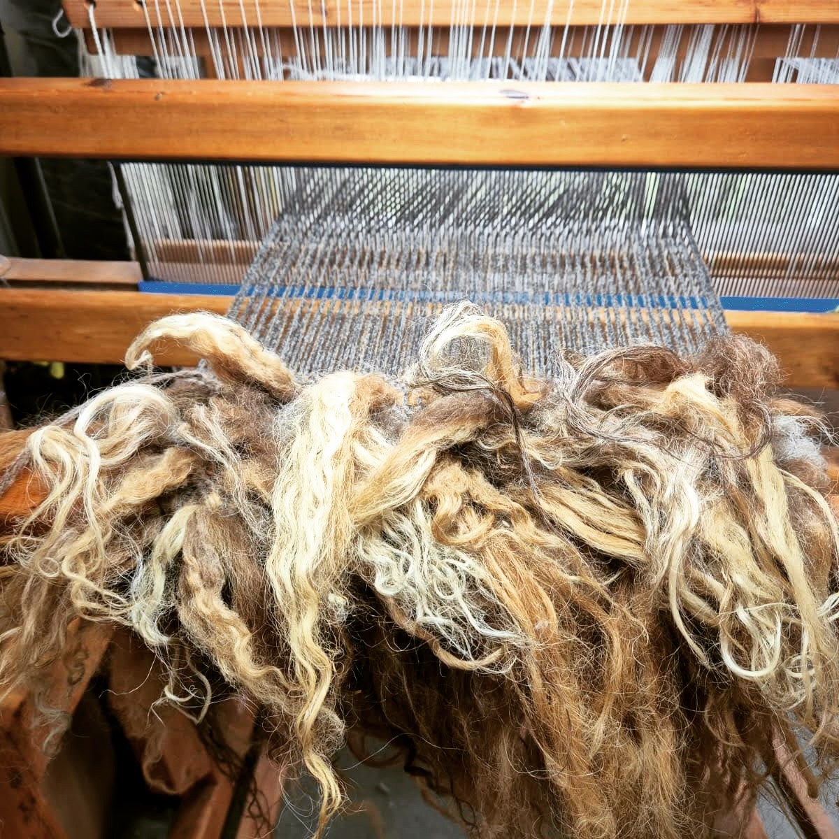 My mini vararfeldr collars have proven a hit! I'm currently working on a commission for three matching ones - these are for the same customer who ordered the matching full-length vararfeldir earlier this year!
Made using the same techniques as my vararfeldir, but on a smaller scale, these historically-styled shaggy neck-warmers are a snuggly guard against the elements for modern-day warriors!
#weaver #handwoven #vikingweaving #vikingcloak #vararfeldr #vikingreenactment #vikingcraft #heritagecraft