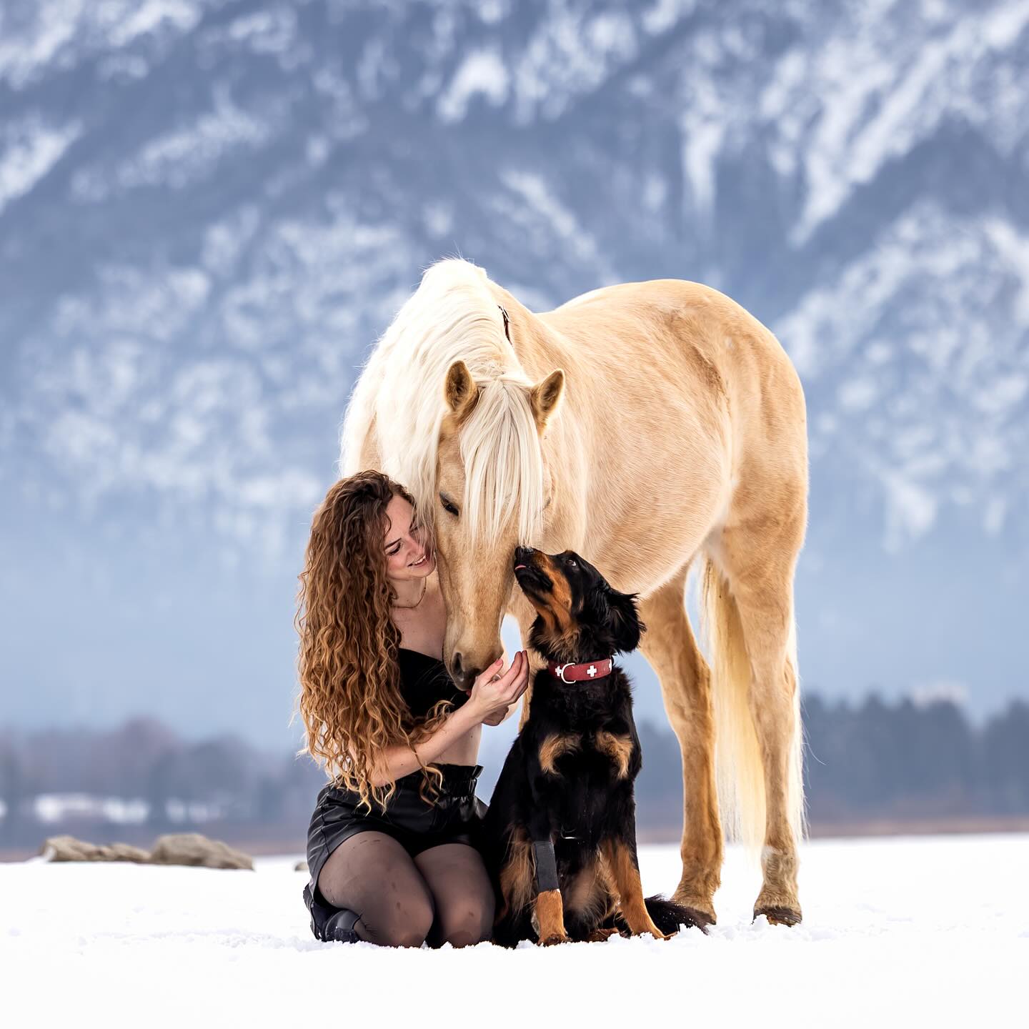 Meine wunderschöne Deli darf man selbstverständlich nicht vernachlässigen auf diesem Account! 🐶🥰
•
Sie liebt es, sich mit auf Fotos zu schmuggeln und besonders, wenn sie Sui Küsschen geben darf. 🤍
Gestern war sie eine schöne Runde mit uns ausreiten und ich bin sehr stolz, wie sie es mit Happy macht! Wirklich so schön - ich bin positiv überrascht! 😍
•
Danke liebe @pferdeliebe_photografie für die tollen Aufnahmen 🥹😇❤️