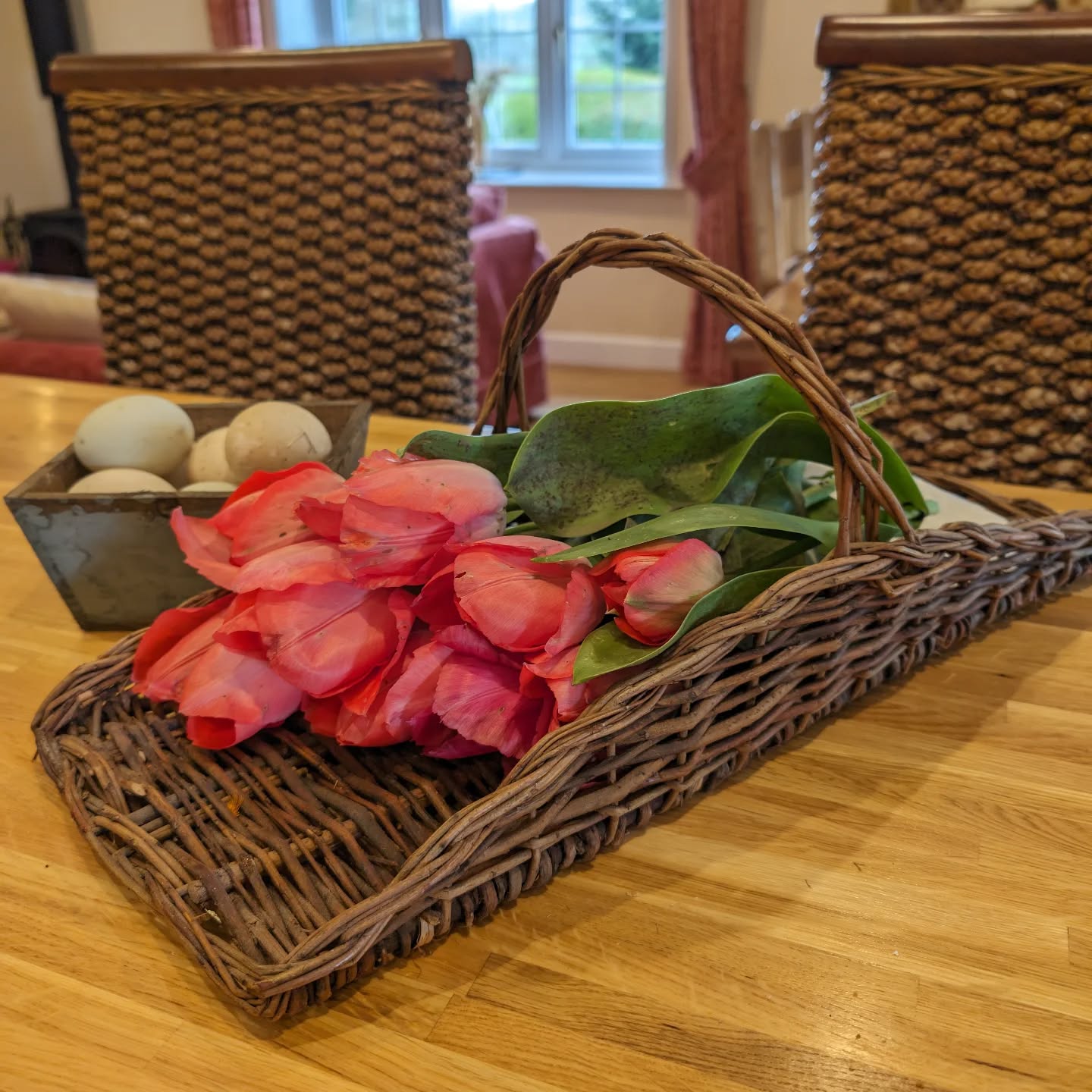 • “A basket full of tulips is a handful of happiness.”
#springhassprung #cottagecore #dartmoorholidaycottage #tulipseason #holidaycottagedartmoor