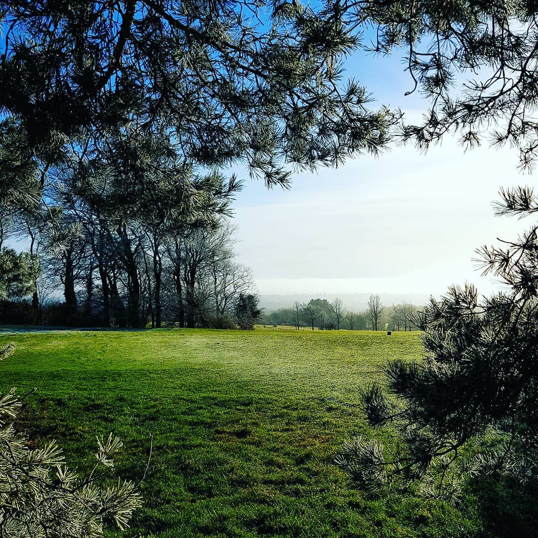 You can take the framer out of his workshop but he'll always be framing in his mind! Perfect peepholes provided by nature bringing much needed light into our lives today #naturedoesitbest #framingservice #frameyourlife #framersofinstagram #framedprints #smallbusinessuk #smallandsustainable #worthingart #worktolivenotlivetowork #independentbusiness