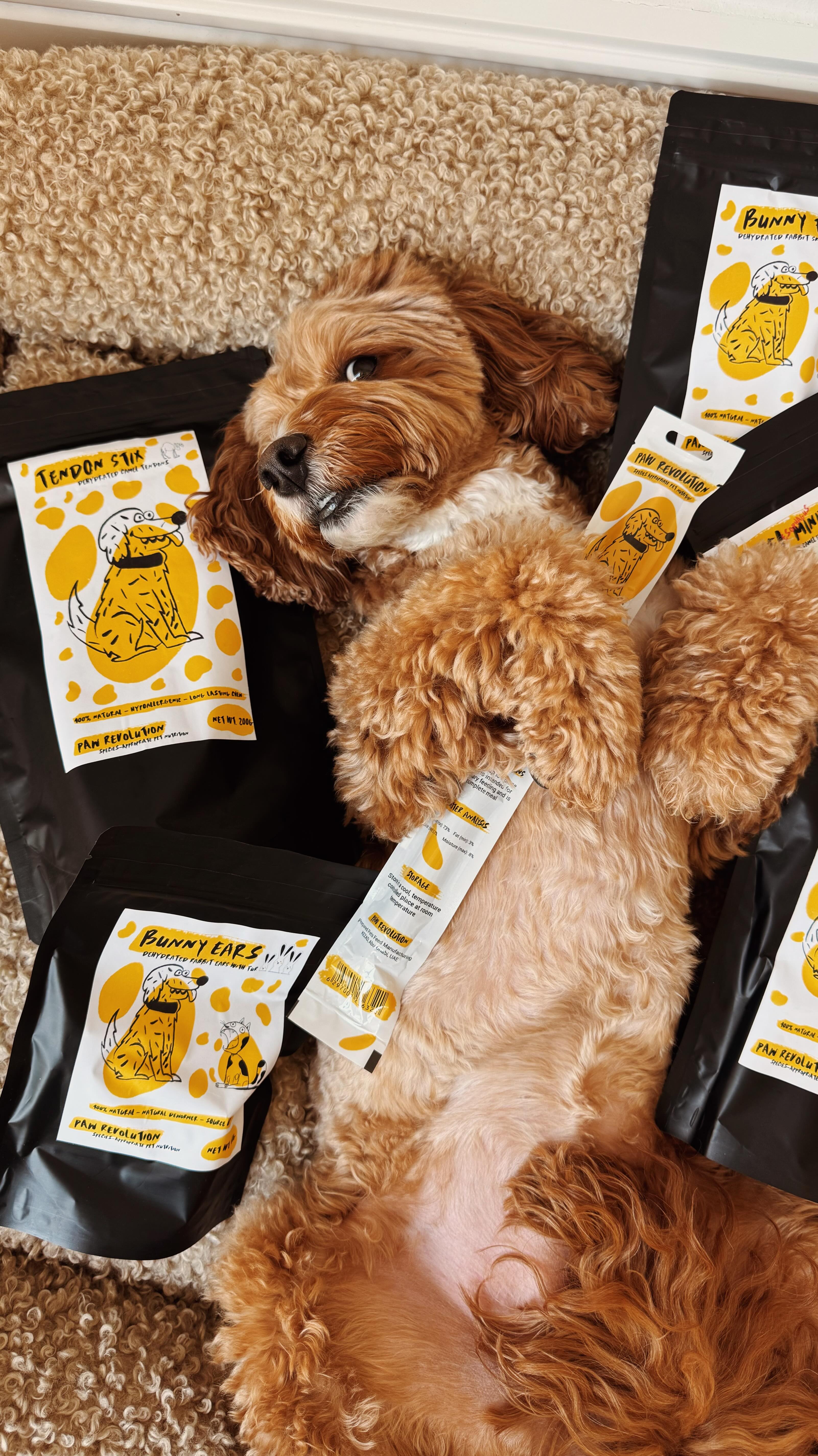The Best unboxing out there from @paw.revolution
#viral #officehumor #explorepage #workstress #workjokes