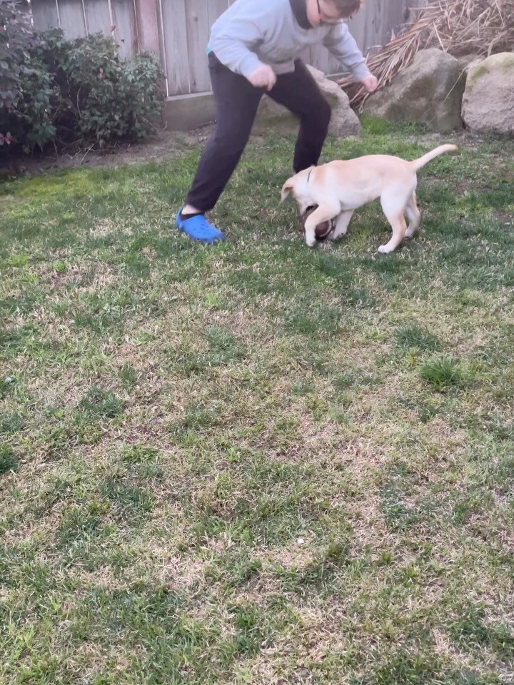 February at Good Dog! — here’s what we’ve been up to🐾
Chance’s first Super Bowl appearance
Sunny’s first family road trip
FSP applications in full swing
Rita doing what she does best
Dixie meets snow with Snowy
Ella working the aisles at Target
Digital Workbook officially live
#autismservicedog #servicedog #trainyourown