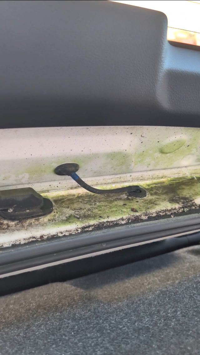 Petit sauvetage sous le soleil ☀️ et ça fait du bien ! Les beaux jours arrivent il est temps de penser à votre auto !
Cette toyota n'avait pas vu l'aspirateur depuis 220000 km .
De la crasse sur tout les plastiques et des sièges en tissus qui ressemblait plus à du carton.
DIPCOLOR à Fonsorbes
3 rue joseph Pontier 31470
0782560260 et info.dipcolor@gmail.com
www.dipcolor.fr
#detailing #toulouse #carcleaner #polish #avantapres