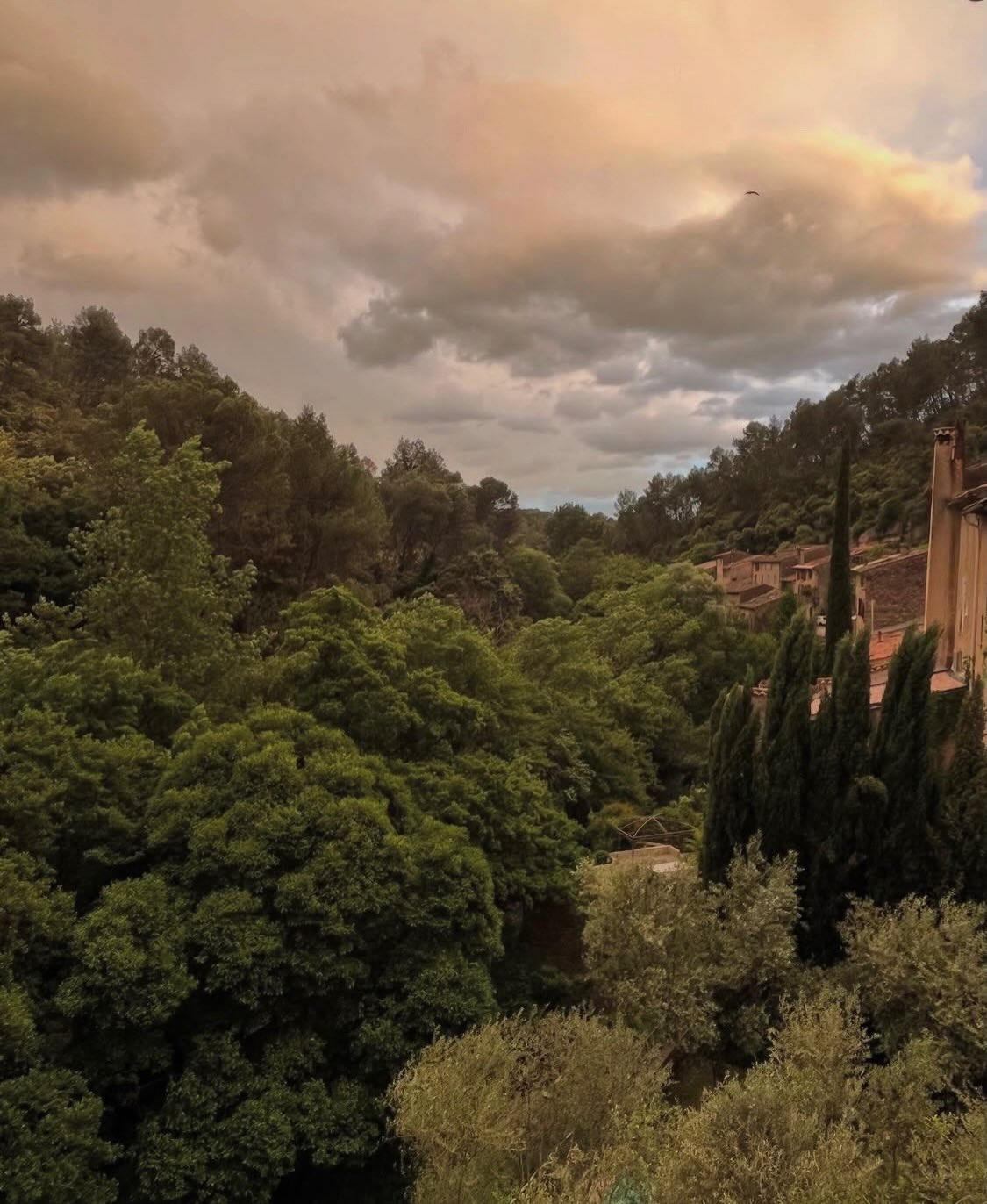 The view from the 2nd bedroom here @sous_lolivier_dentrecasteaux . The house over looks the Bresque river and a forest ,paradise!No filter in these photos just nature working her magic .#entrecasteaux asteaux