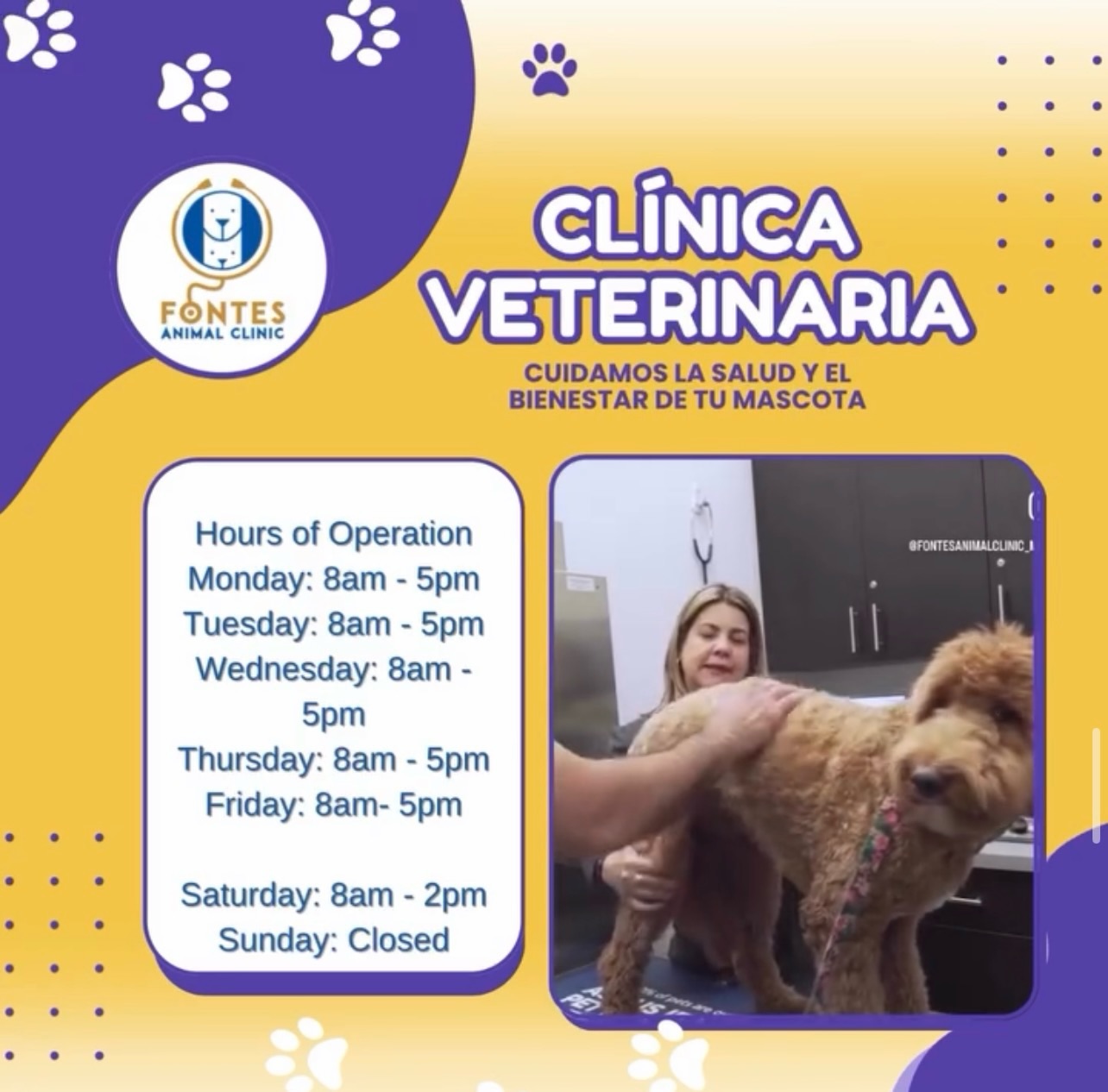 Fontes Animal Clinic
📲 305-364-5327
📍 2330 SW 67 AVE Miami, FL 33155
🌐Website: https://www.fontesanimal.com
#fontesanimalclinic #florida #miami #hialeah #veterinarymedicine vettech vetmed FontesAnimalClinic 6toAniversario CuidandoConAmor 💙