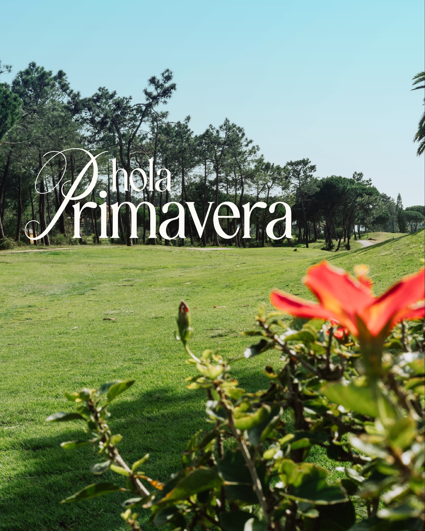 Marzo ya huele a cambio.
La luz se alarga, las terrazas empiezan a llenarse y el verde se ve más intenso cada día. La primavera está a la vuelta de la esquina en Islantilla… y es el momento perfecto para planear tu próxima escapada.
Reserva ahora y estrena primavera con nosotros.
DoubleTree by Hilton Islantilla Beach Golf Resort · +34 959 204 500
#PrimaveraEnIslantilla #DoubleTreeByHilton #Islantilla #CostaDeHuelva #Escapada