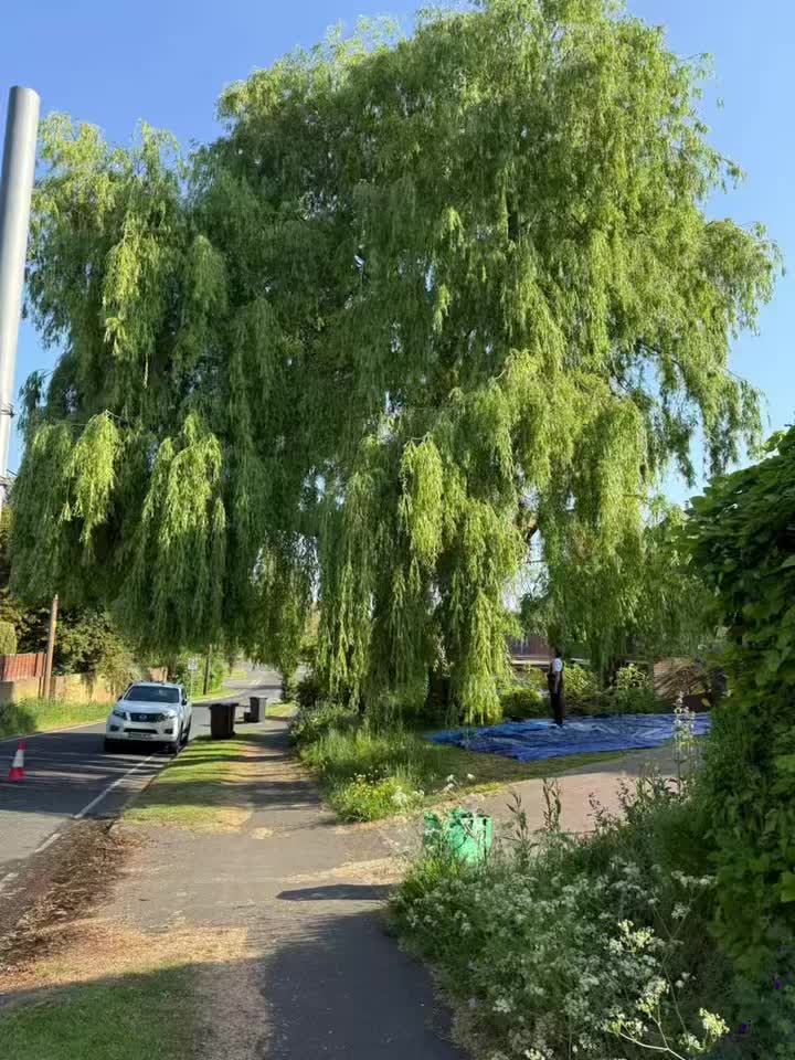 Some before and after shots featuring the ArborTek theme song..
Want us to help you make the most of your garden? Get your free no obligation quote today..