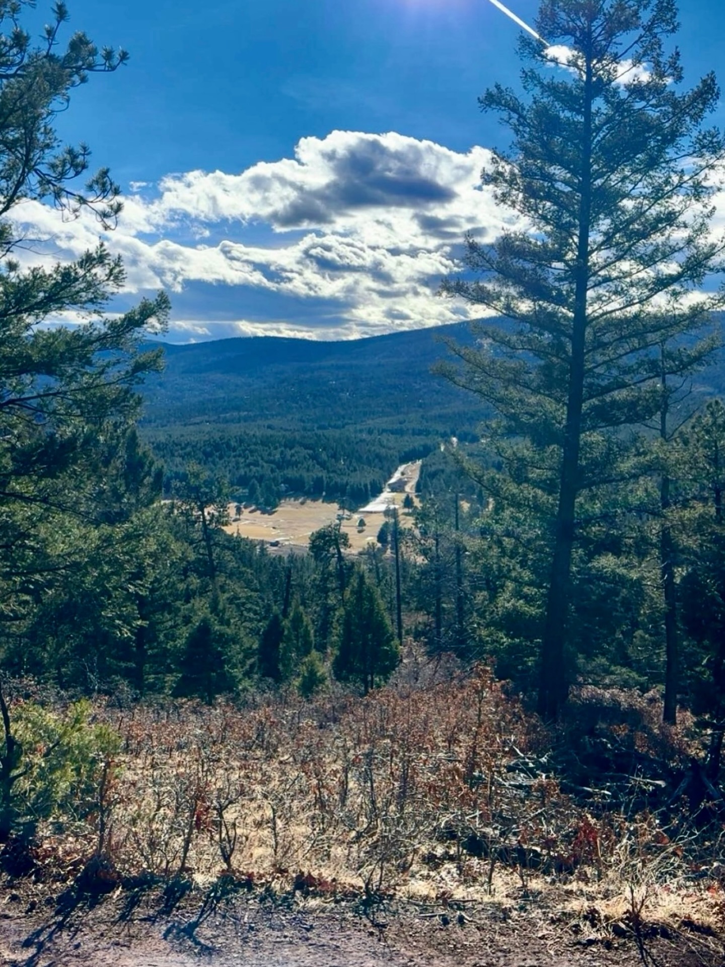 Spring around the corner means epic hiking trails! 📍Oeste Vista Trial is a moderate, 2.4 to 3-mile loop offering scenic views of Monte Verde Lake, the golf course, and Wheeler Peak! ⛰️
📸: Donavan
#TheWildDivide #ColfaxCounty #VisitColfaxCounty #NewMexico #NewMexicoTrue