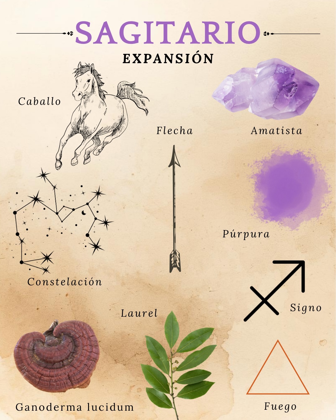 ✨ Parte III ✨
La rueda sigue girando.
La energía cambia de ritmo… pero no de profundidad.
Cada signo es una puerta.
Un lenguaje del alma.
Una manera distinta de buscar sentido.
En esta tercera parte exploramos:
♐ Sagitario · fuego que expande, verdad que viaja
♑ Capricornio · tierra firme, ambición con propósito
♒ Acuario · aire rebelde, visión del futuro
♓ Piscis · agua sutil, intuición que lo siente todo
No son solo rasgos.
Son memorias energéticas.
Son formas de caminar el mundo.
¿Tu signo te representa…
o estás descubriendo que eres más de lo que creías?
•
•
•
#zodiaco #sagitario #capricornio #acuario #piscis