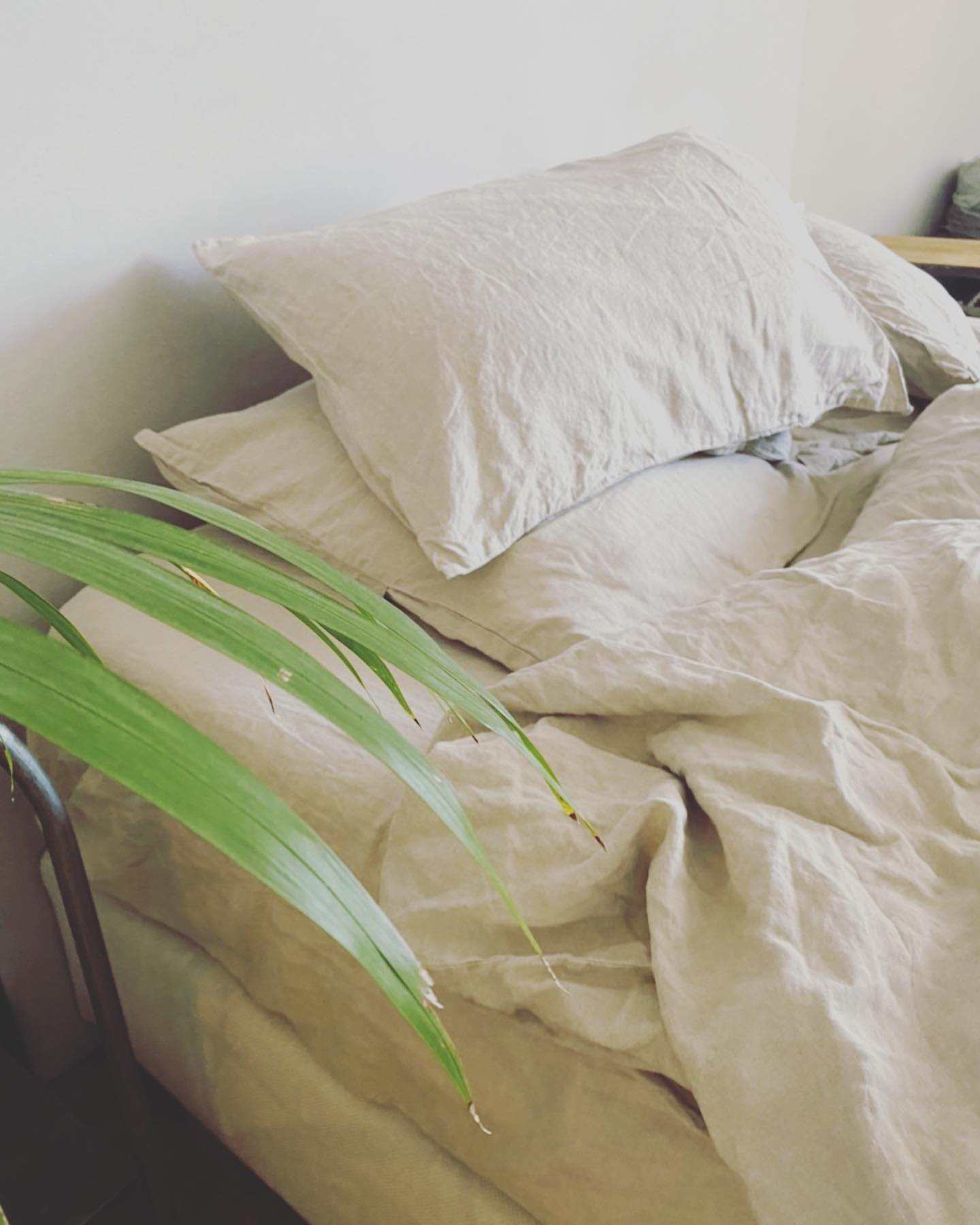 S’étirer dans un lit immense S’envelopper dans des draps épais et frais
Rester dans le moelleux de ses oreillers
Se réveiller ou se rendormir
Se sentir bien
Prendre le temps
Notre linge de lit est 100%lin, 100% éthique & responsable.
Conçu avec nous et pour nous dans cette qualité de mèche, sans aucune chimie.
Il influence largement la qualité du sommeil, offrant à la fois beaucoup d’enveloppement et de douceur tout en étant respirant.
Tous nos lits sont eco-responsables et naturels.
Plein d’oreillers, une taille kingsize…à vous les grasses mat’ !
À l’Imprimerie nous avons internalisé l’entretien du linge pour des raisons sociales et éthiques par exemple tous nos produits lessiviels et autres sont biologiques conditionnés en ecobags.
Voilà, c’est une de nos façons discrètes de prendre grand soin de vous.
🌸
#collabethique @mosthome.co #lingedelitenlinlave #lingedelitdeluxe #lingedelitethique #maisondhotesdecharme #beaune #bourgogne #burgundy #lifestyledesign