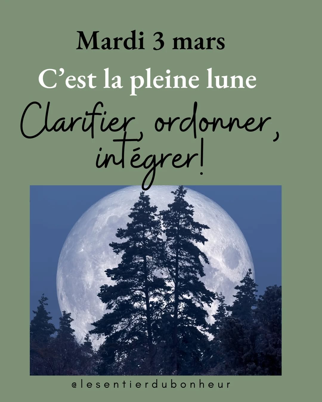 Pleine Lune en Vierge – 3 mars 2026
Aujourd’hui, la pleine lune t’invite à faire le tri, non pas avec rigueur, mais avec écoute et conscience.
C’est une opportunité pour :
-clarifier tes besoins
-relâcher ce qui te pèse
-écouter ton corps
-retrouver une routine alignée
La Vierge nous rappelle que ce n’est pas la perfection qui compte, mais la justesse intérieure — celle qui vient du cœur et du corps, pas seulement de la tête.
Si tu sens que cette énergie touche une zone de ta vie, je t’accompagne avec un mini soin énergétique à distance ainsi que d'un rituel pour purifier les tensions, harmoniser tes chakras et soutenir ta paix intérieure.
💛 25.- | Twint 079 442 67 42
📩 Nom + prénom + date de naissance
🌕 Réception autour du 3 mars
#pleinelune #pleinelune2026 #pleinelunevierge #energie #rituelpleinelune