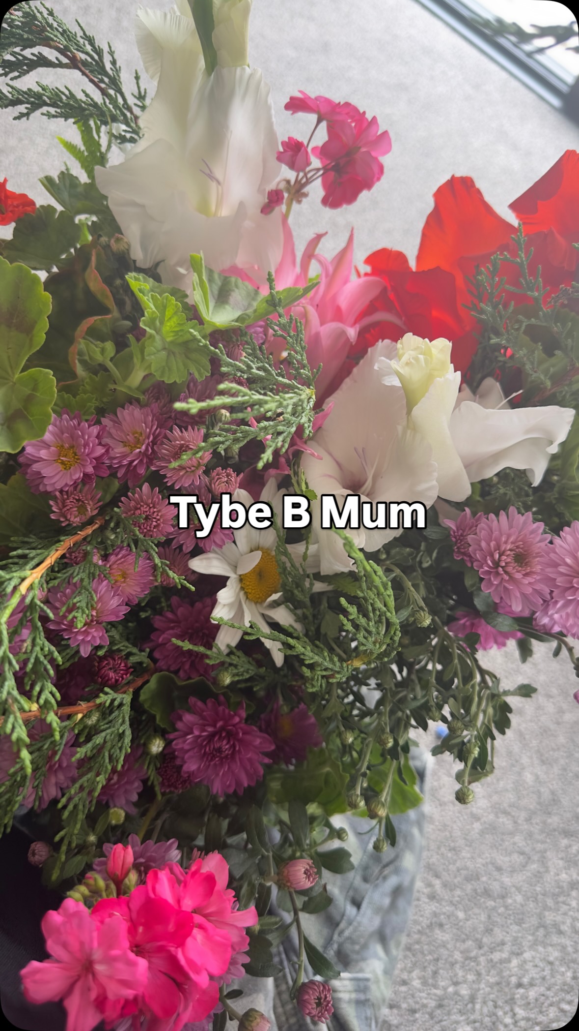 Type A life is just not for me 😂
#healing #nzmum #typebmom