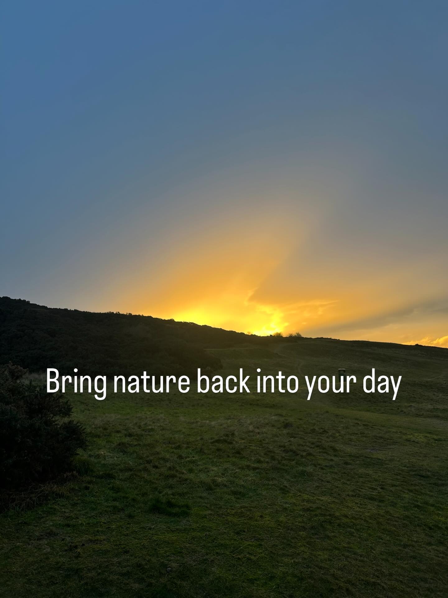 Over the years I’ve noticed how being disconnected from nature leads to stress, anxiety and depression.
I’ve worked with hundreds of people in business to help them to grow themselves and their businesses.
The one thing I’ve noticed above everything else is when people don’t walk outdoors, don’t stop to listen to the birds and don’t put their phones away, they are more stressed, anxious and depressed.
I’m on a mission to give people time, space and permission to take two hours out of their day, tech-free to rediscover how to connect with themselves through nature.
Starting in June, I’ll be taking small groups through a forest bathing practice.
Watch this space…… #forestbathing #forestbathingtherapy #forestbathing🌲🌲🌲 #forestbathingguide #forestbathingscotland