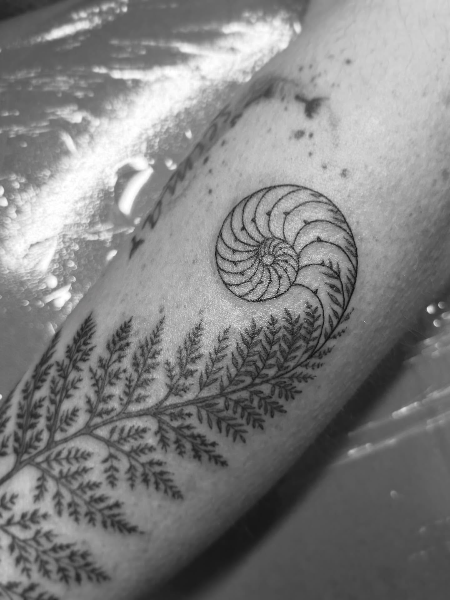 Fern to Fibonacci sequence ๐ค๐ฟ
#ottawa #tattoo #ottawatattoo #fineline #naturetattoo