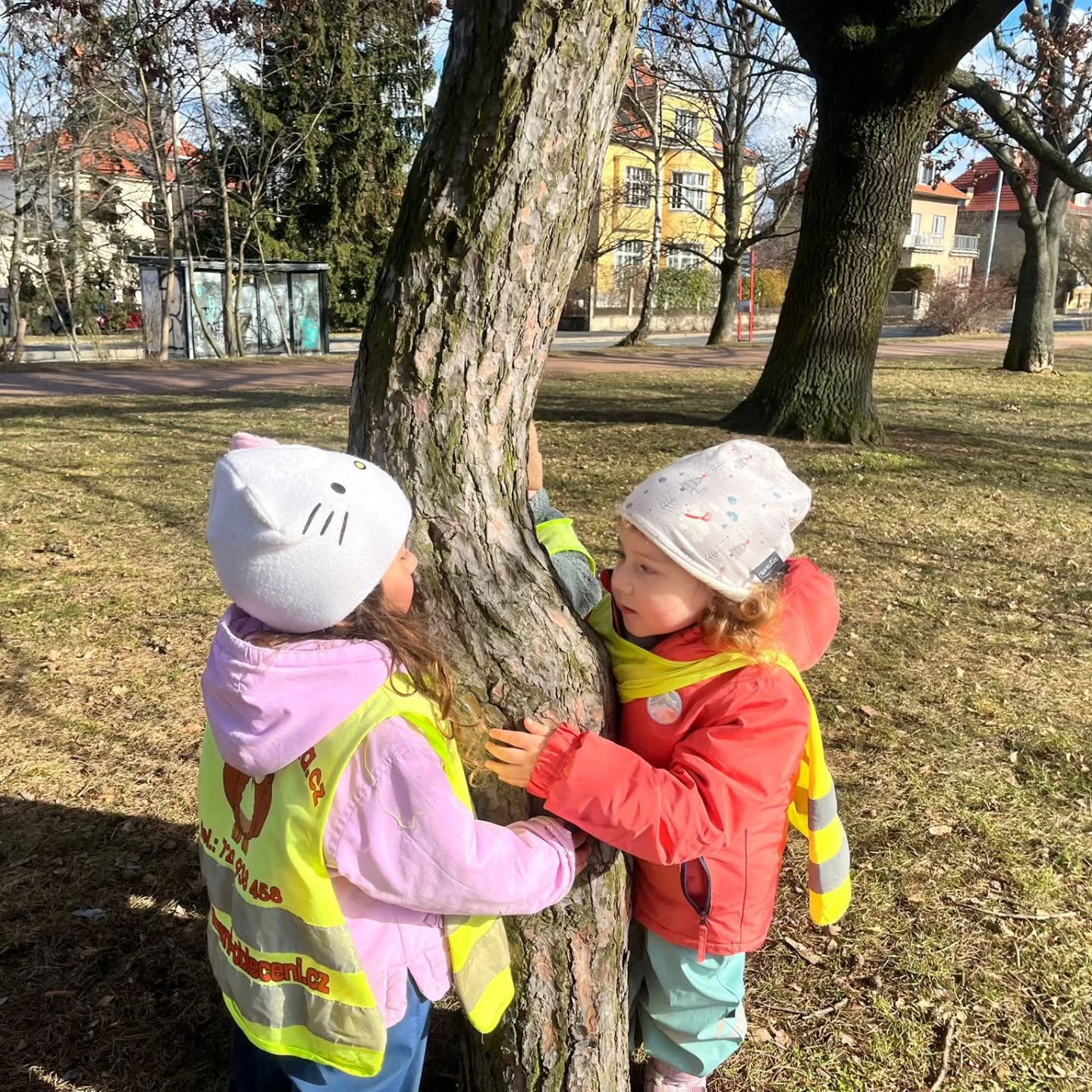 Slunečná vycházka na Ladronce