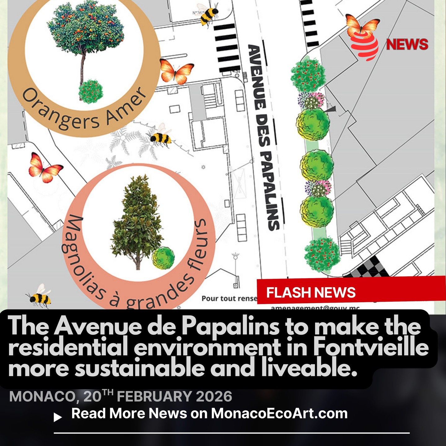 @mo.eco_art #flash #news #urban #green #monaco #montecarlo 🇲🇨 🌳20th February 2026: in the heart of the Fontvieille District, the Avenue de Papalins, major axis of the pedestrian areas is being renovated to make the residential #environment more #sustainable and liveable: the increase of #green #flowerbeds and the insertion of #hedges are planned to isolate the pedestrian part from the road part to provide #safety and #wellbeing 🌿🌾 The project, which is expected to be completed by March, includes the creation of 111 m2 of planted areas, with seasonal replacement of perennial Mediterranean #vegetation ensuring long-lasting flowering through the #seasons 🌸🍃New magnolias will be included complement the trees already present, notably the existing citrus fruits, to harmonise the urban landscape: particularly adapted to the local climate, the magnolia contributes to improving air quality through the capture of fine particles and participates in the fight against heat waves thanks to the density of its foliage 🌳🌴 The existing trees will be fully preserved, paying attention to the preservation of their #root systems while modernising the irrigation network, to optimise #water management 🚴♂️💧The renovated green area will encourage soft mobility, including 14 dedicated to electric two-wheelers, without compromising the services already offered to the community 📸 Direction de la Communication @gvt_monaco - Layout and Contents: © MonacoEcoArt.com