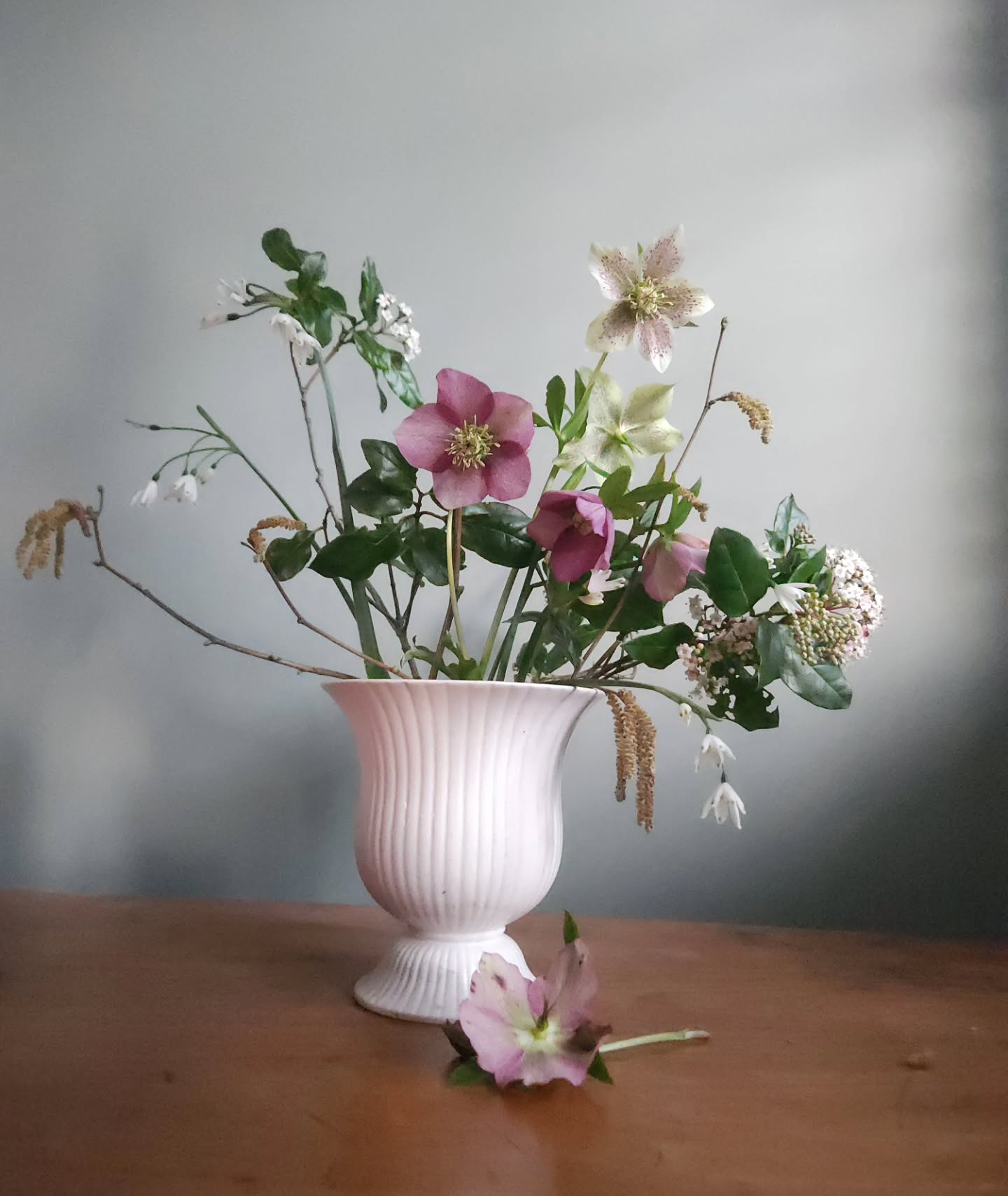 A February forage.
Inspired by @bloomandburn and @surreydahlias